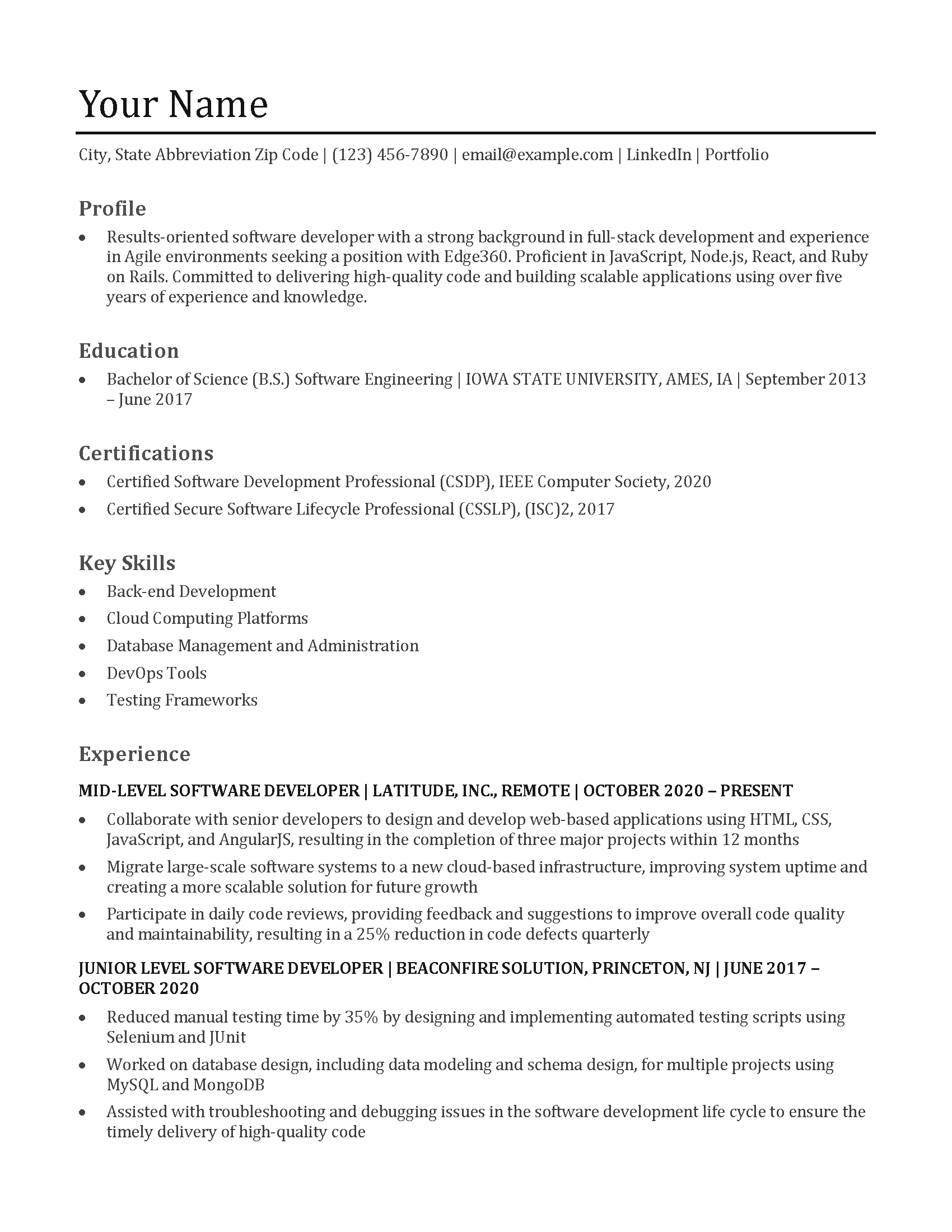 Software Developer Resume Example