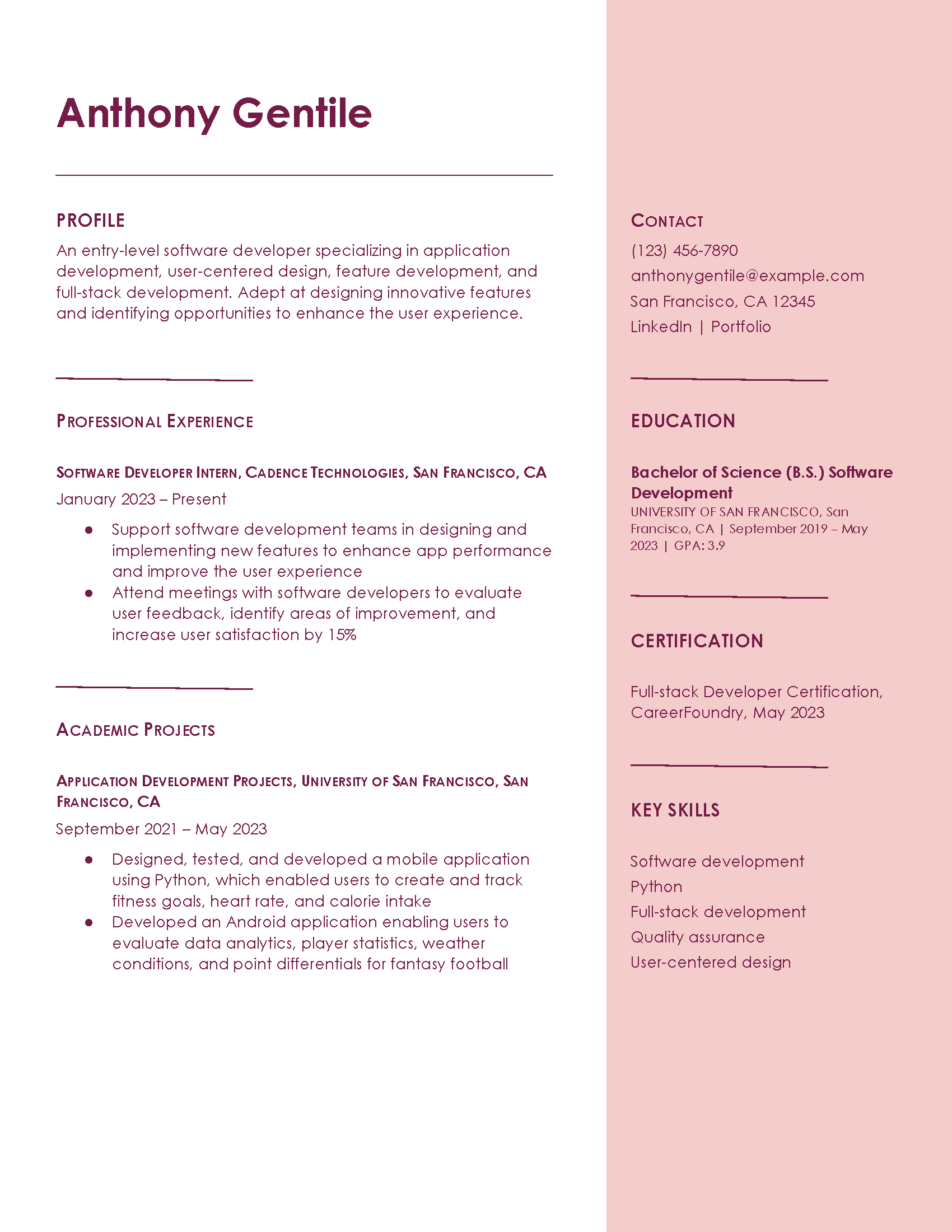 First Job Resume Template Examples Image