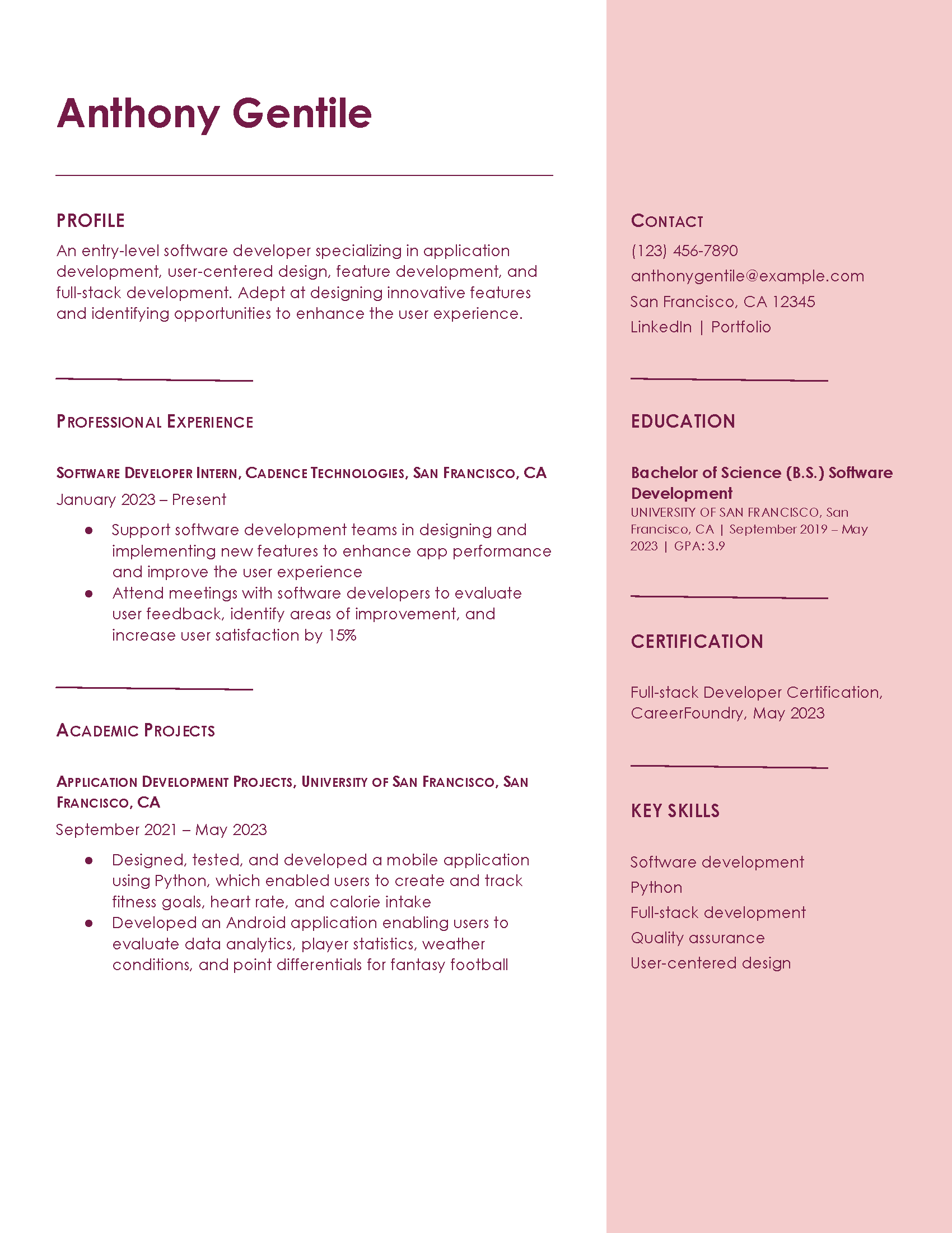 Basic Resume Templates and Examples - First Job Resume Template Examples Image 