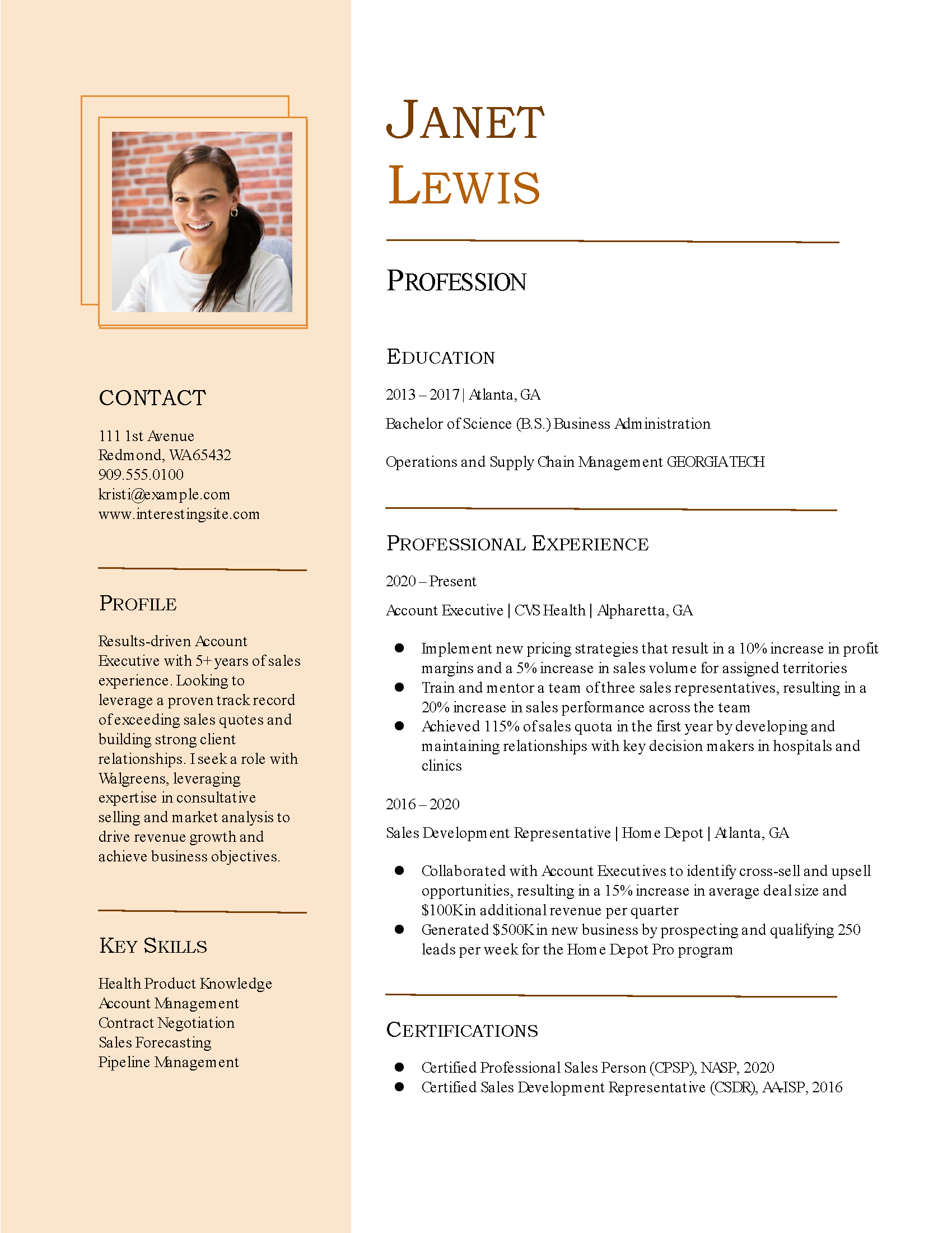 Sales Resume Template Example Image
