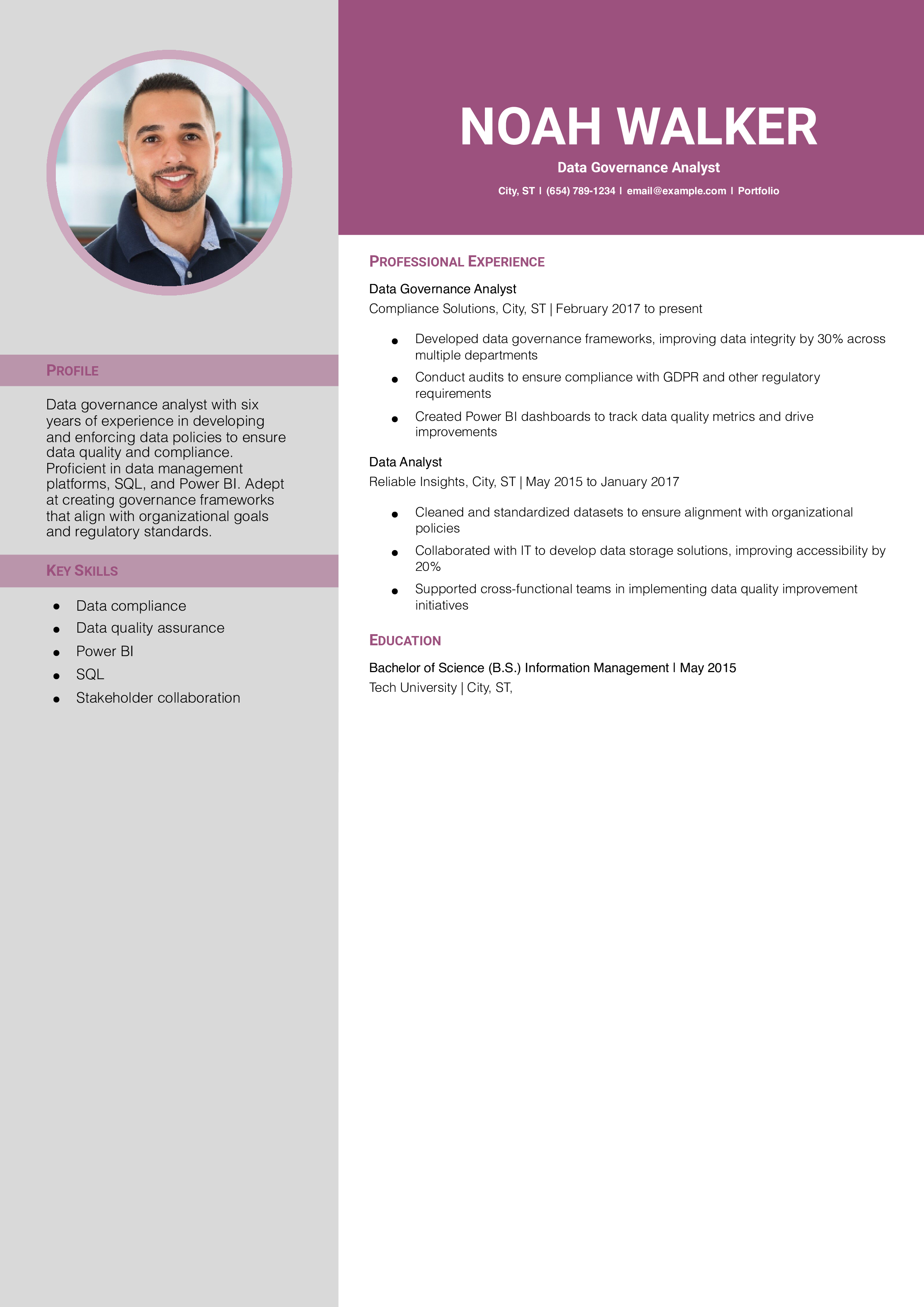 Data Governance Analyst Resume Example