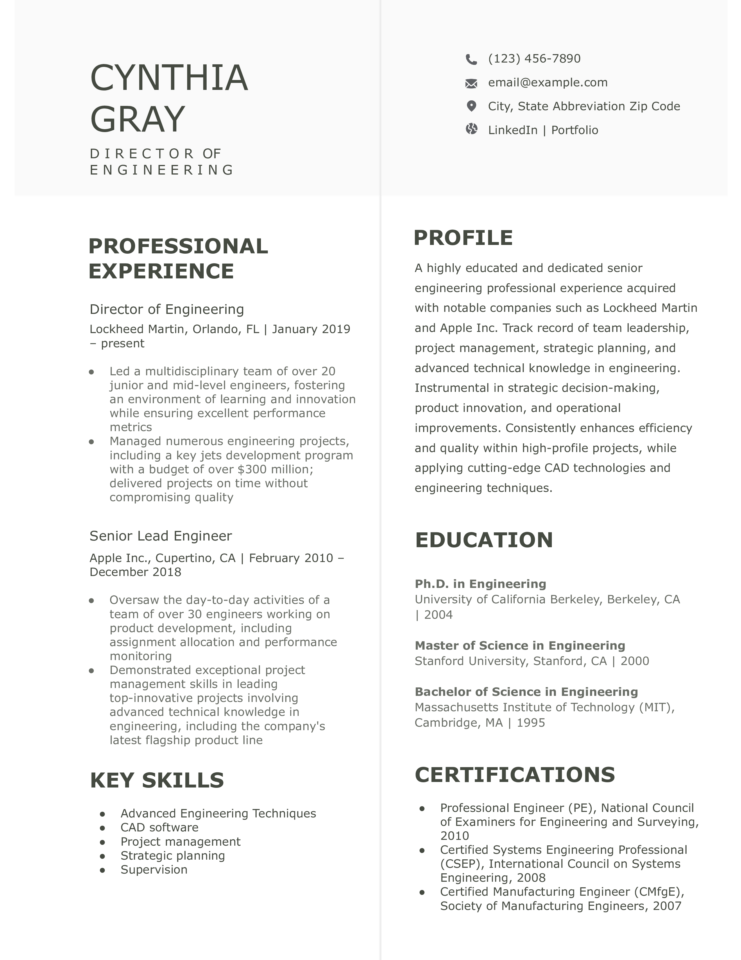 Engineering Resume Examples and - Engineering Senior Level.pdf 