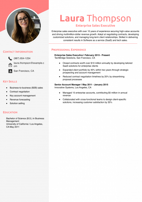 Enterprise Sales Executive Resume Example
