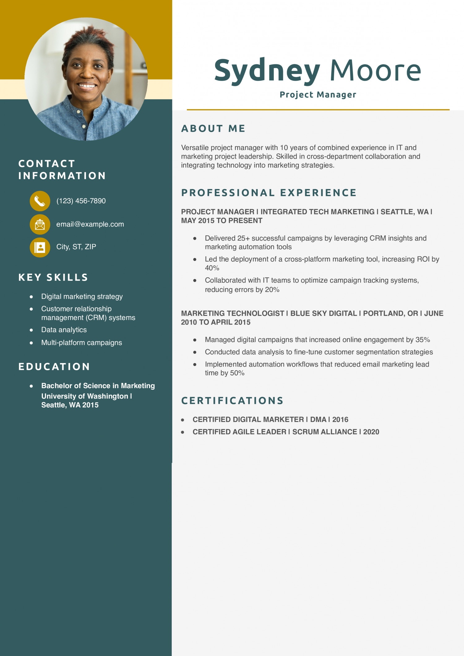 Hybrid Marketing and IT Project Manager Resume Example