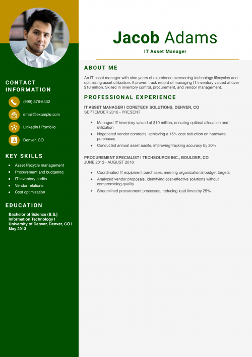 IT Asset Manager Resume Example