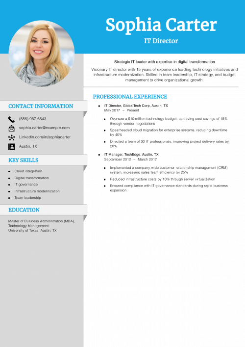 IT Director Resume Example