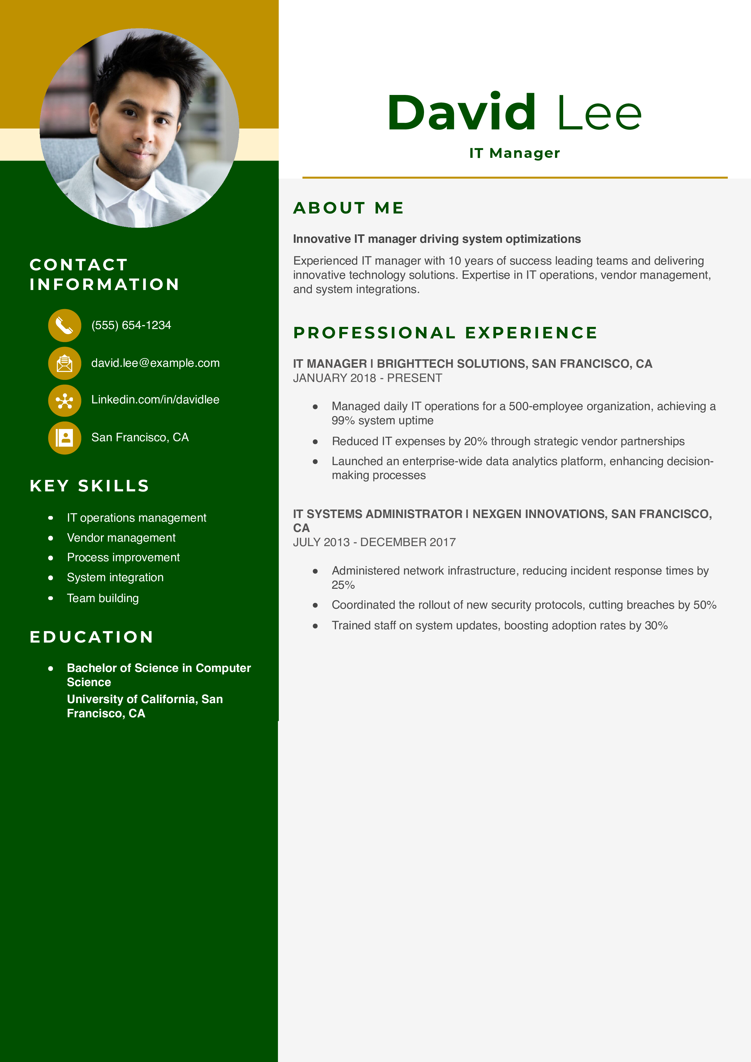 IT Manager Resume Example
