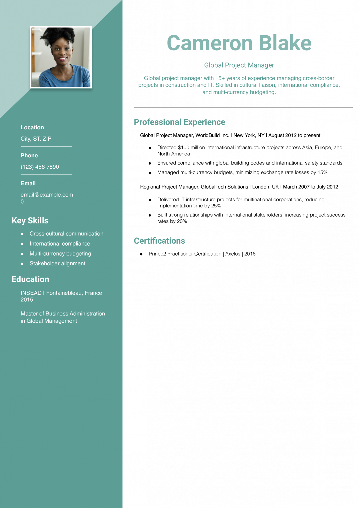 International Project Manager Resume Example