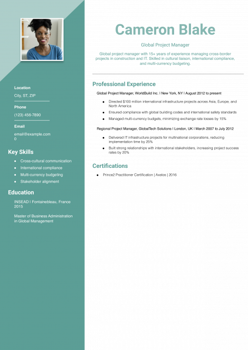 International Project Manager Resume Example