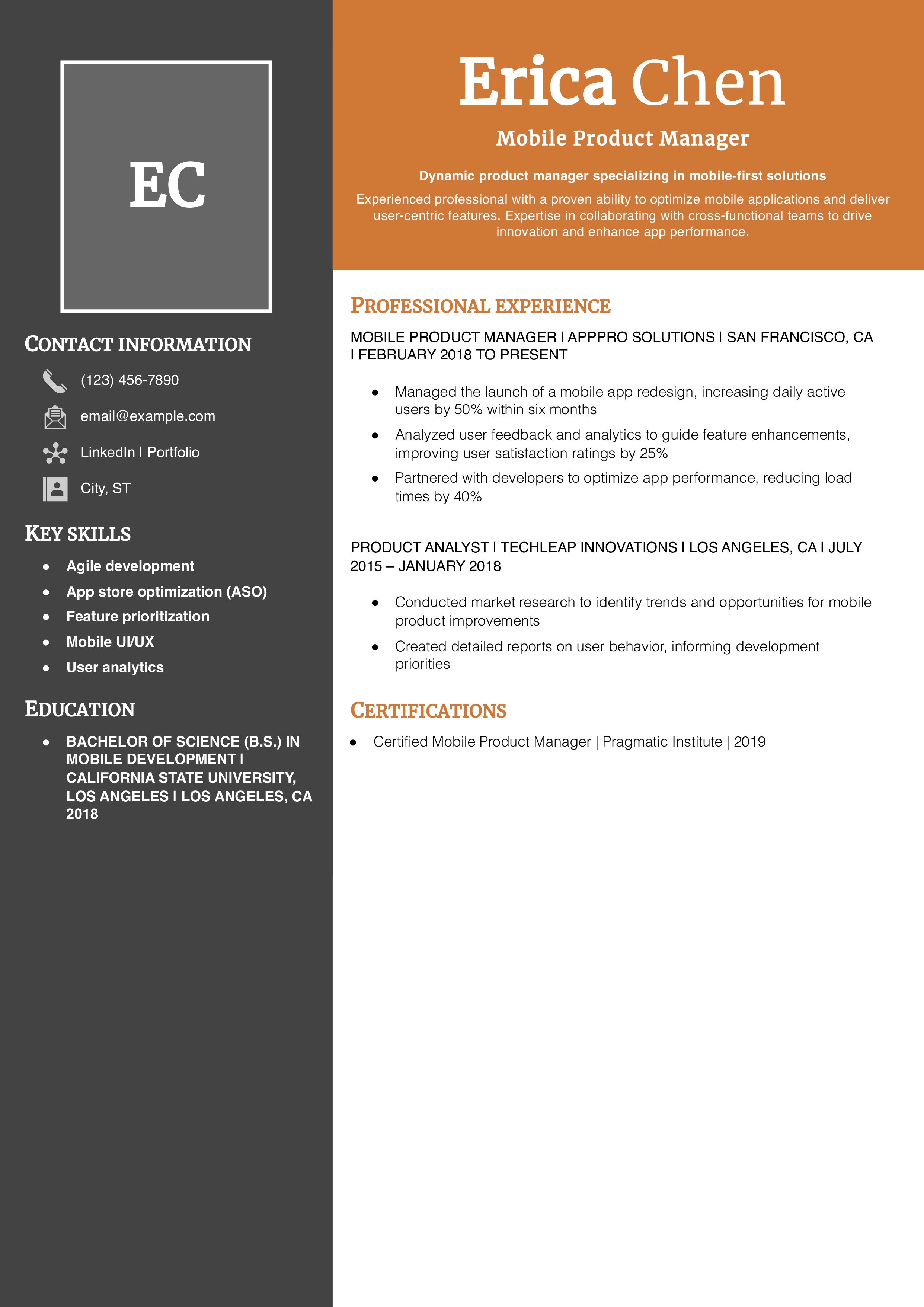 Mobile Product Manager Resume Example