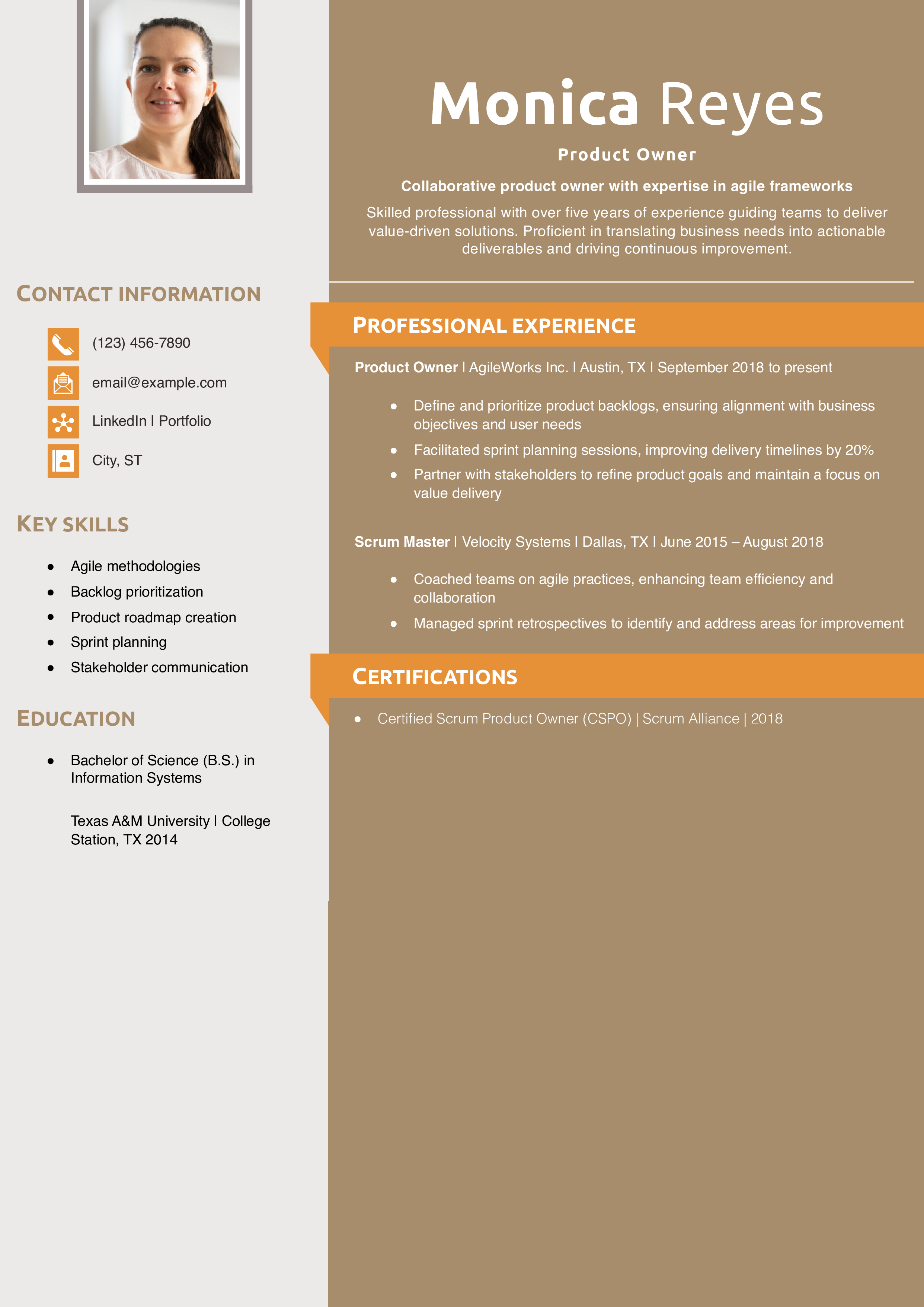 Product Owner Resume Example