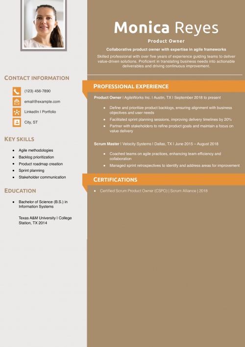 Product Owner Resume Example