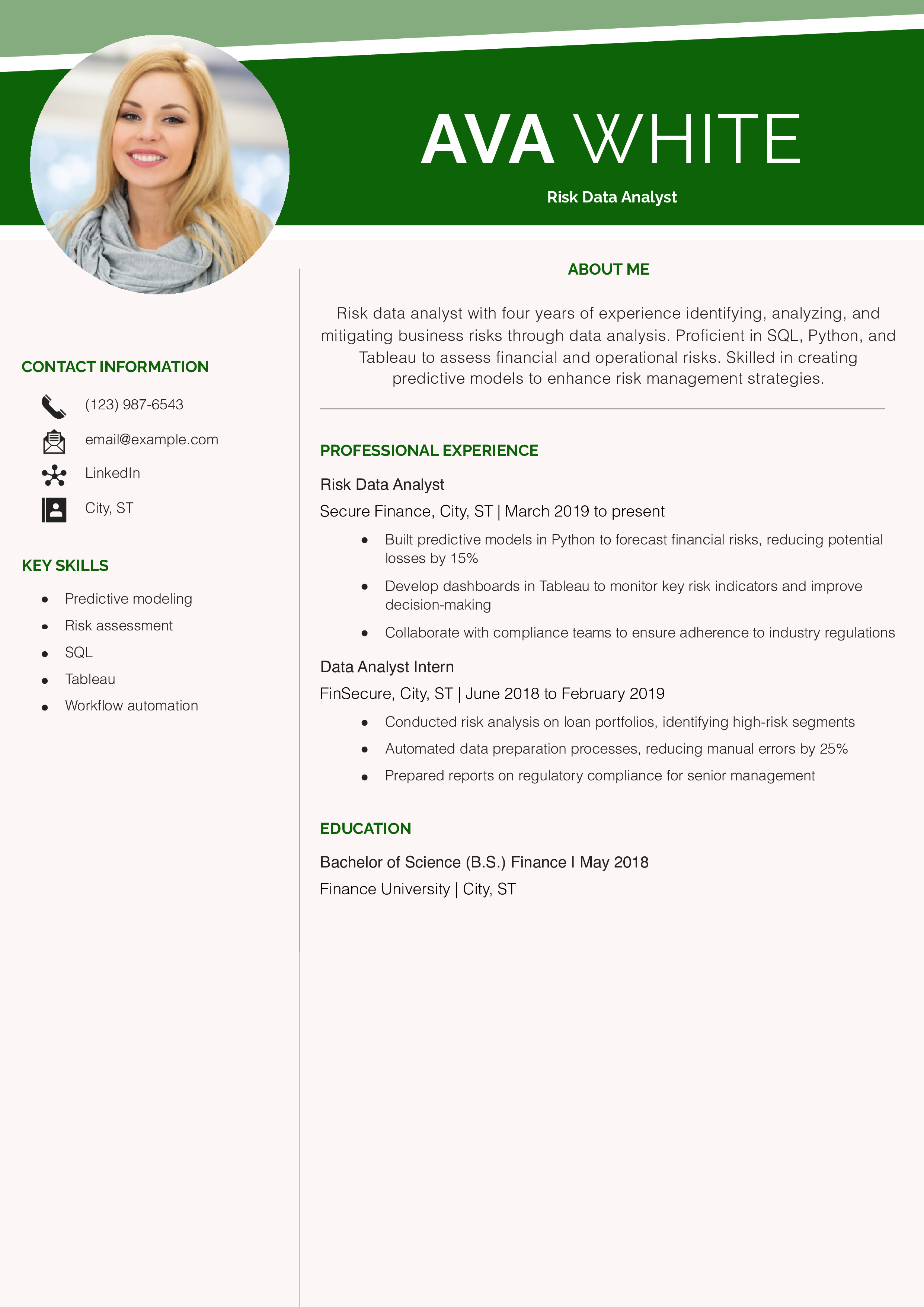 Risk Data Analyst Resume Example