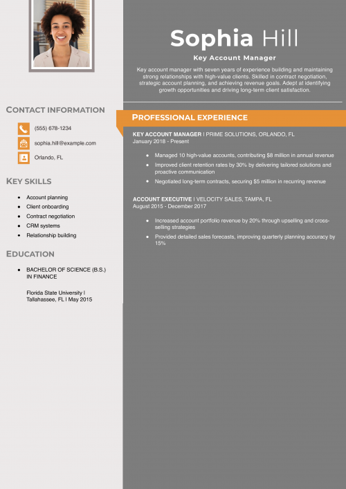 Sales Account Manager Resume Example