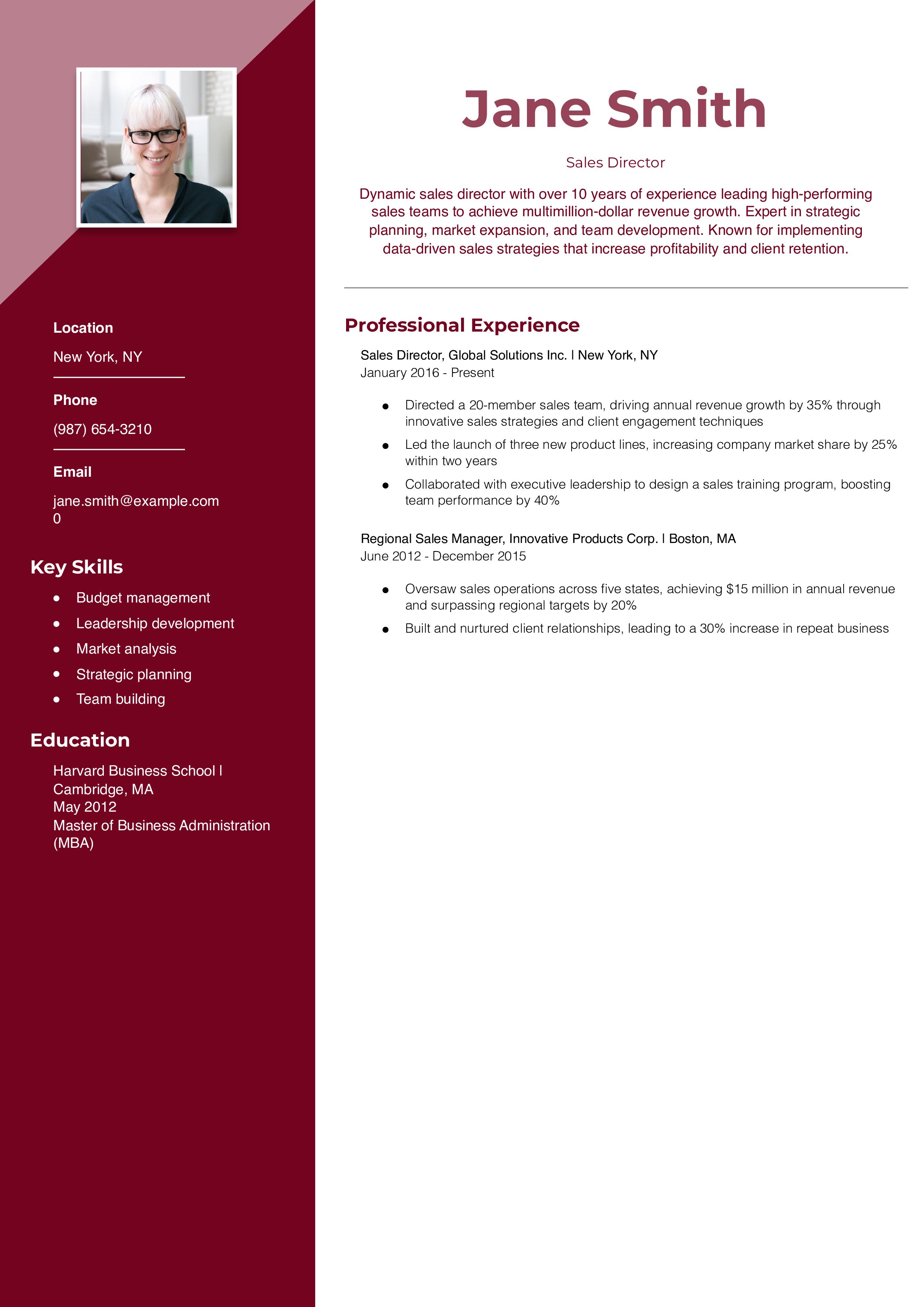 Sales Director Resume Example
