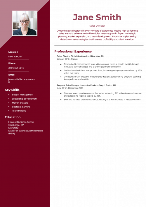 Sales Director Resume Example