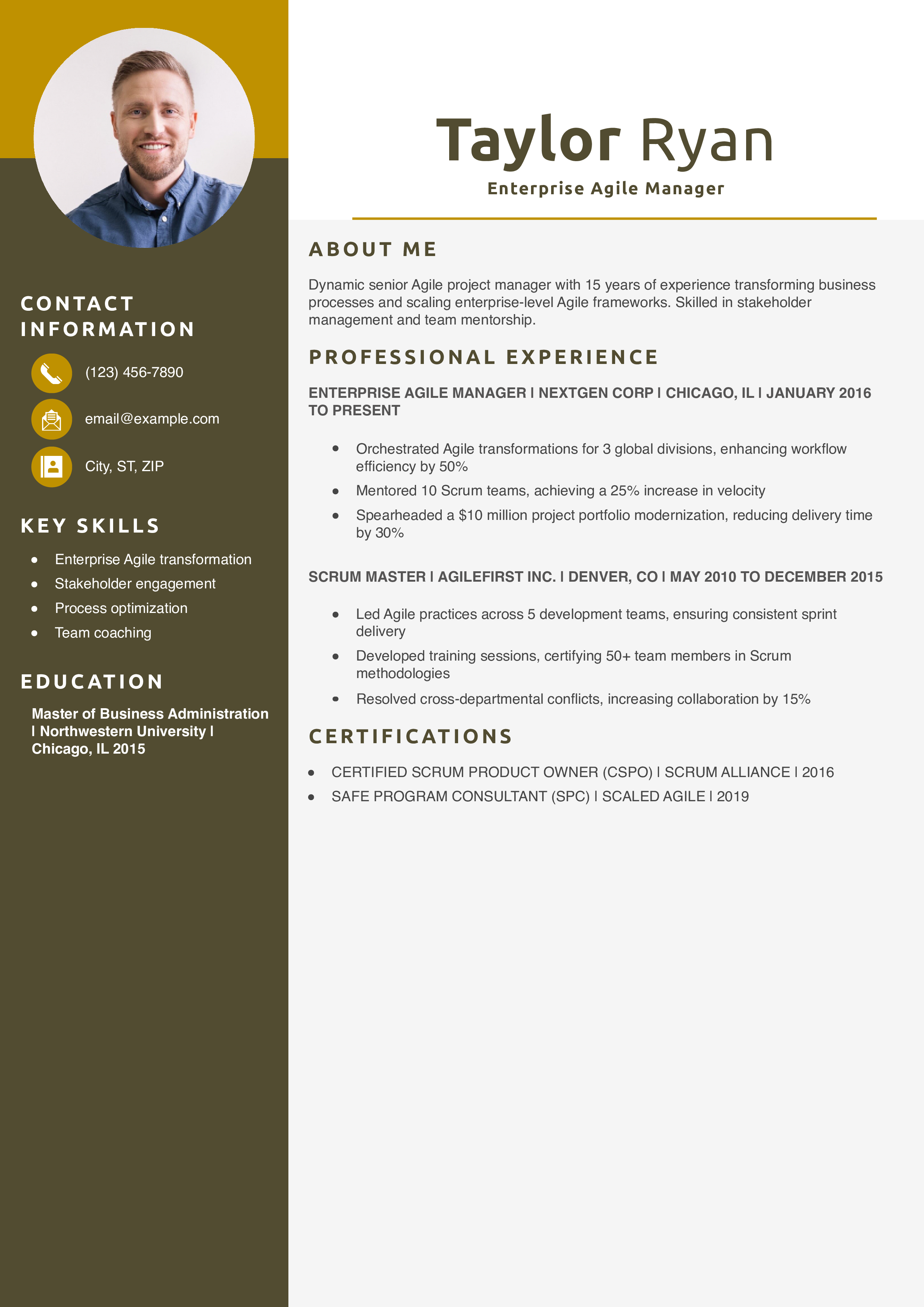 Senior Agile Project Manager Resume Example