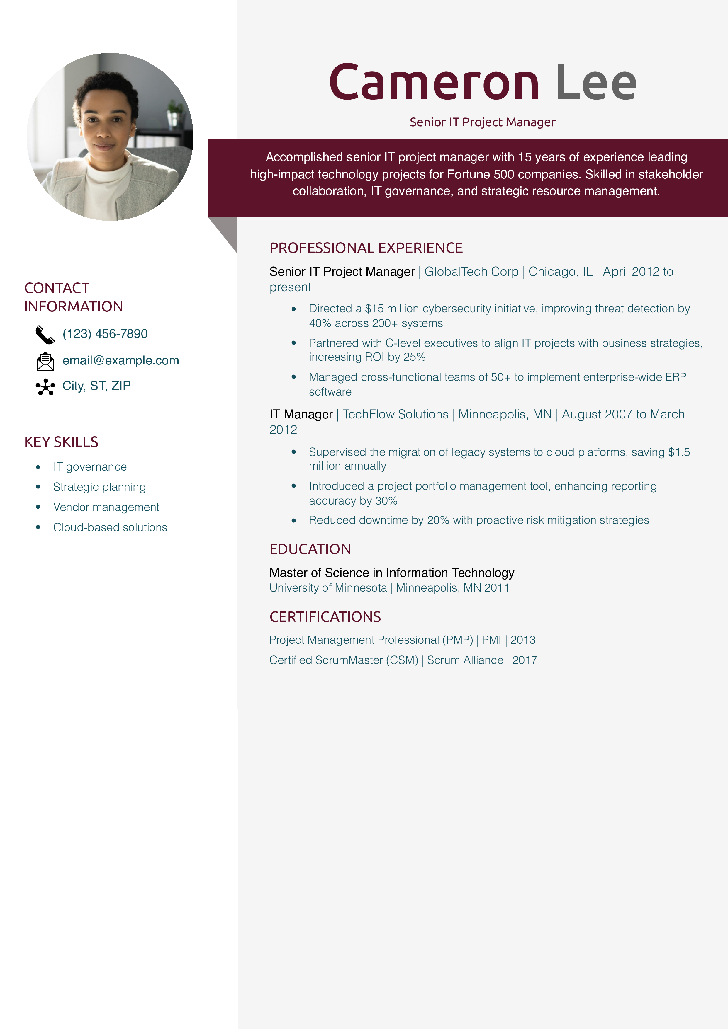 Senior IT Project Manager Resume Example