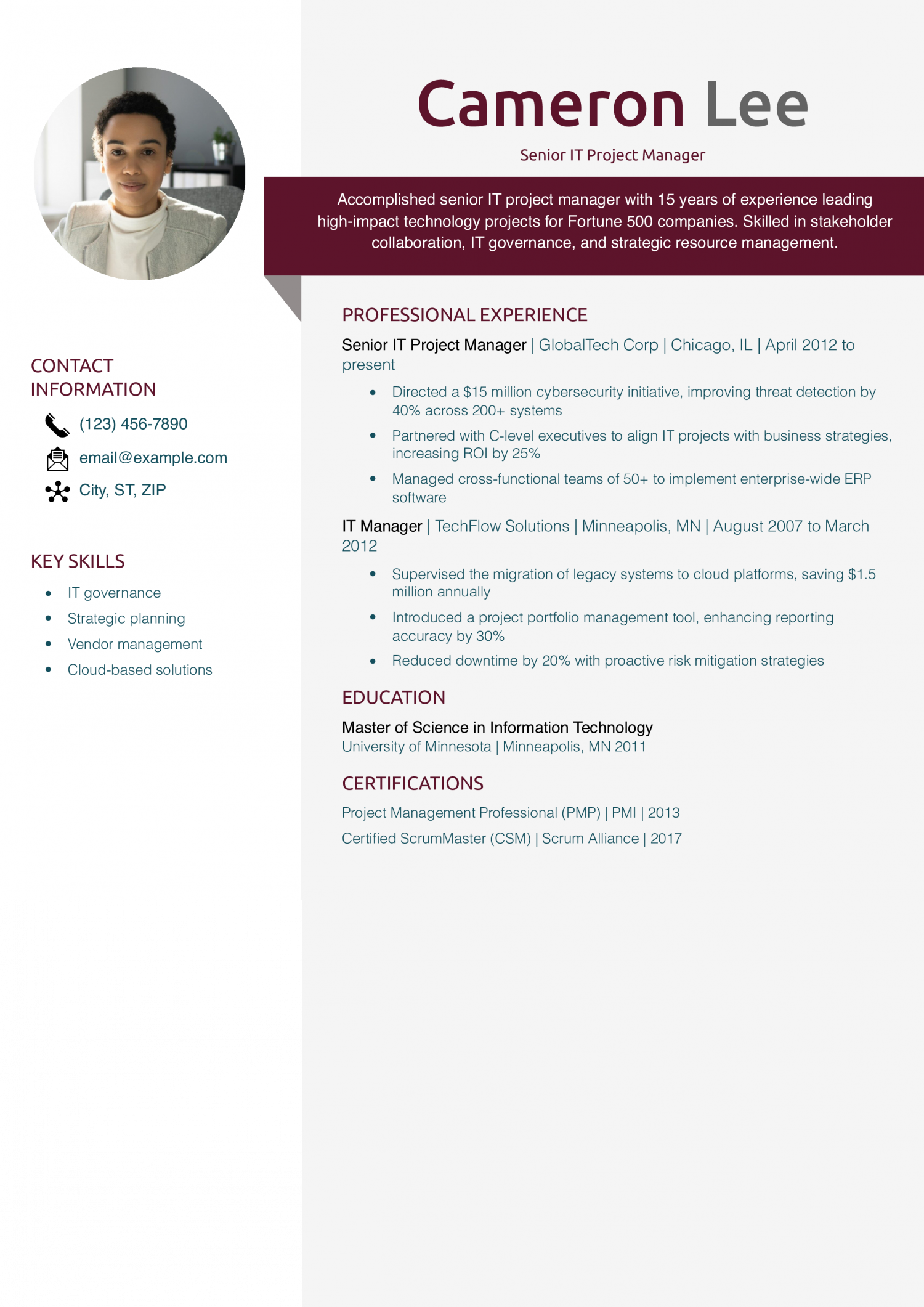 Senior IT Project Manager Resume Example