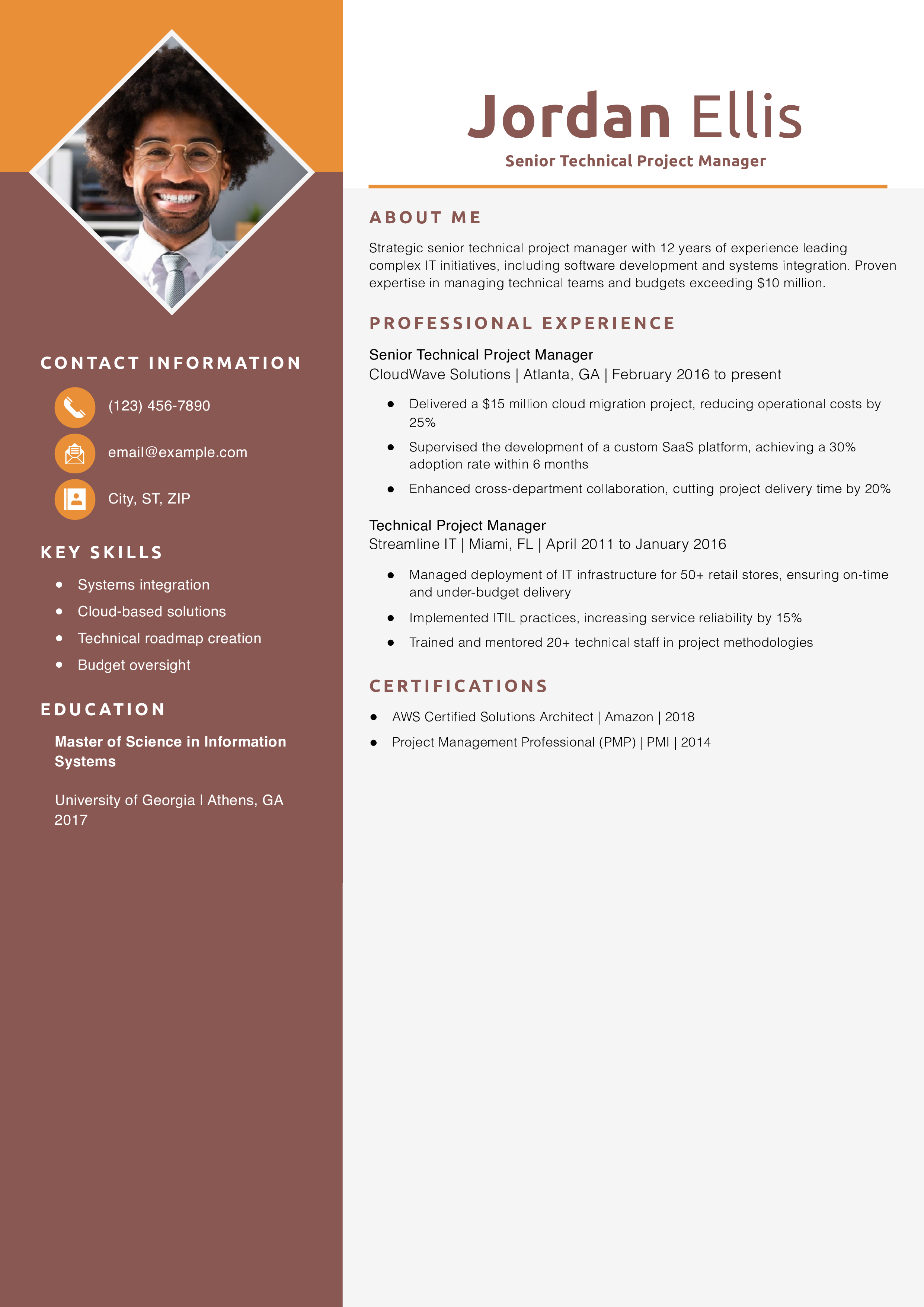 Senior Technical Project Manager Resume Example