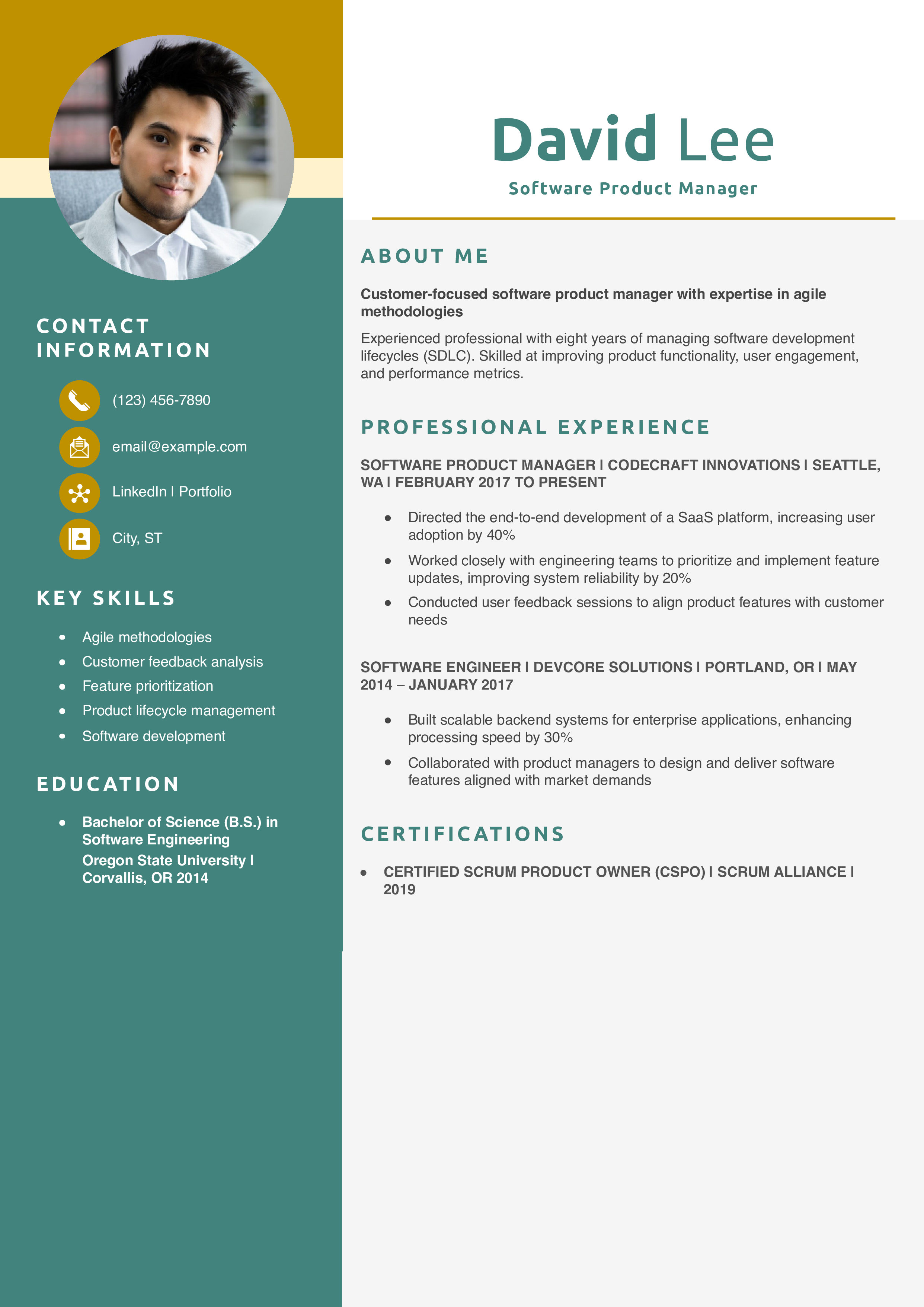Software Product Manager Resume Example