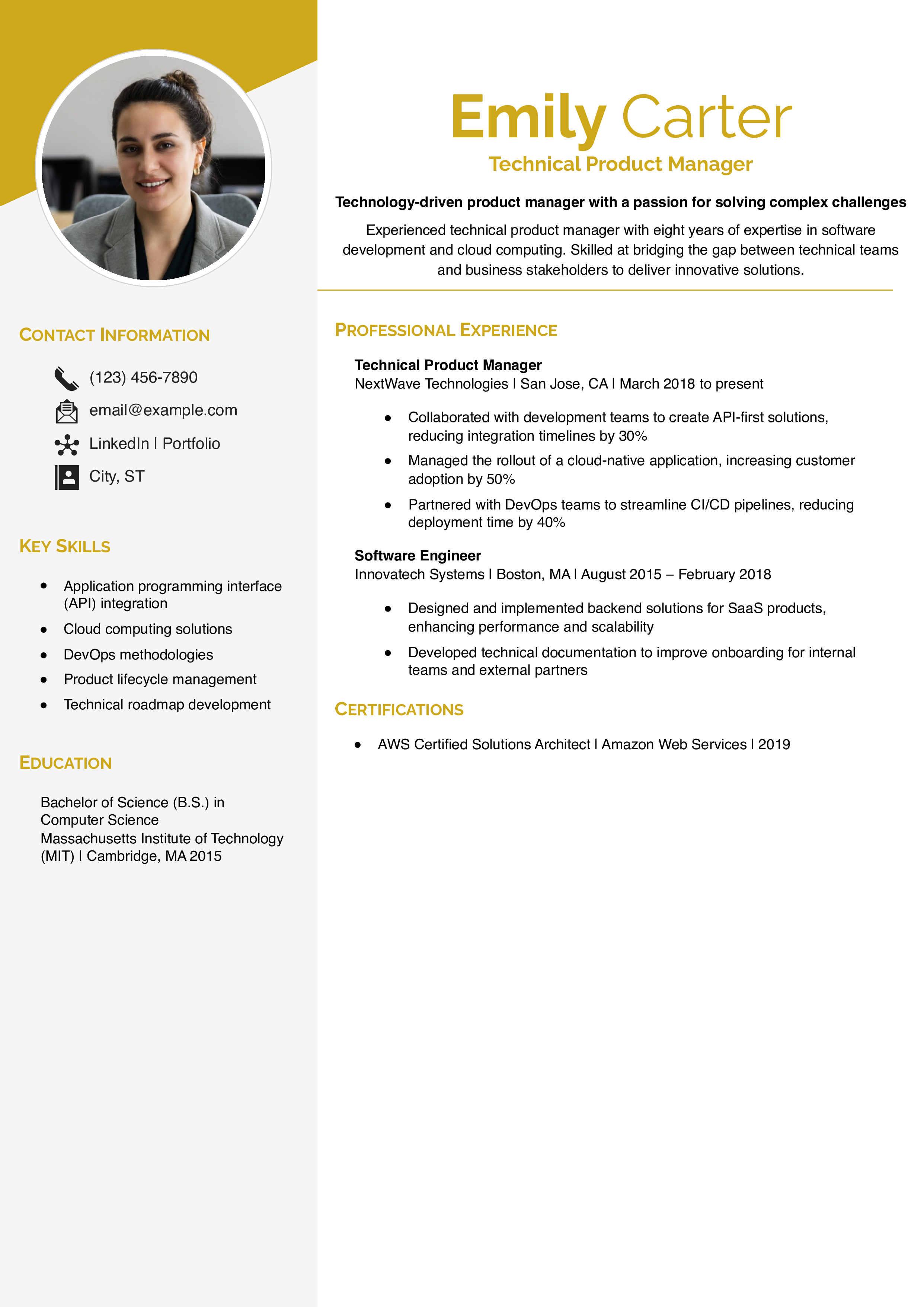Technical Product Manager Resume Example