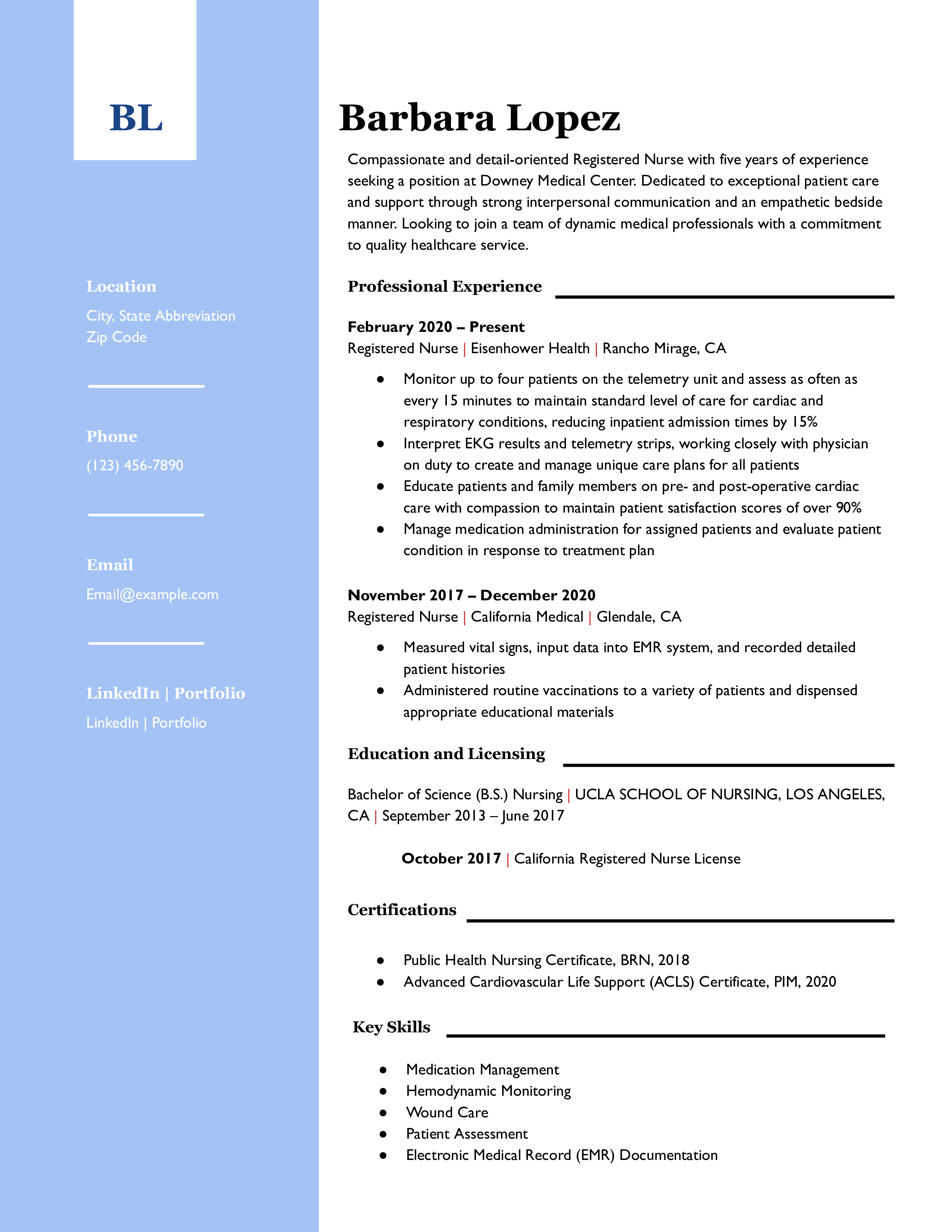 Professional Resume Examples and Templates