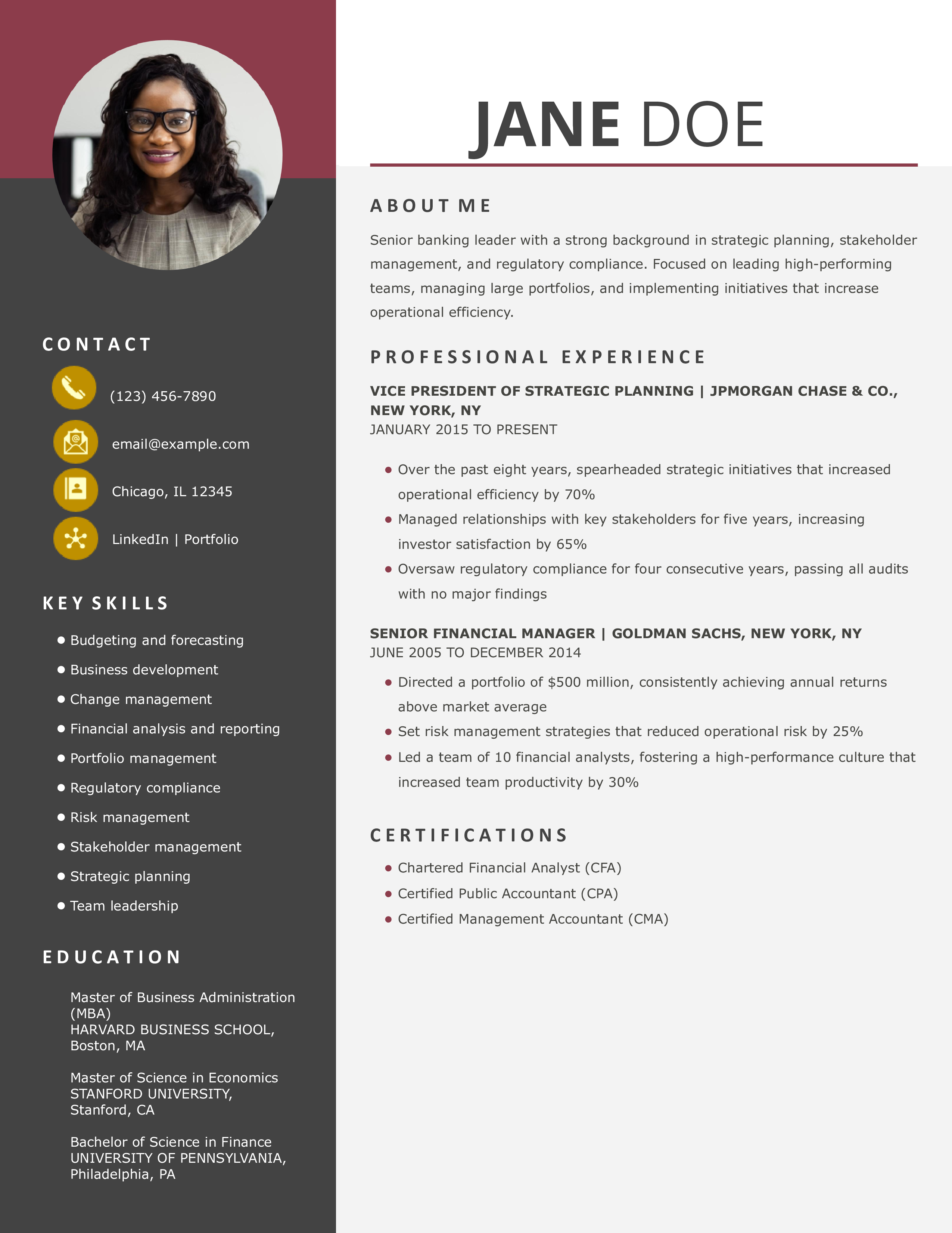 Bank Chief Executive Officer Resume Example