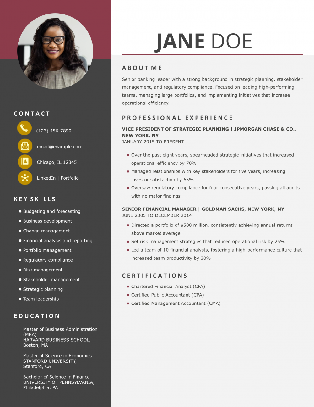 Bank Chief Executive Officer Resume Example