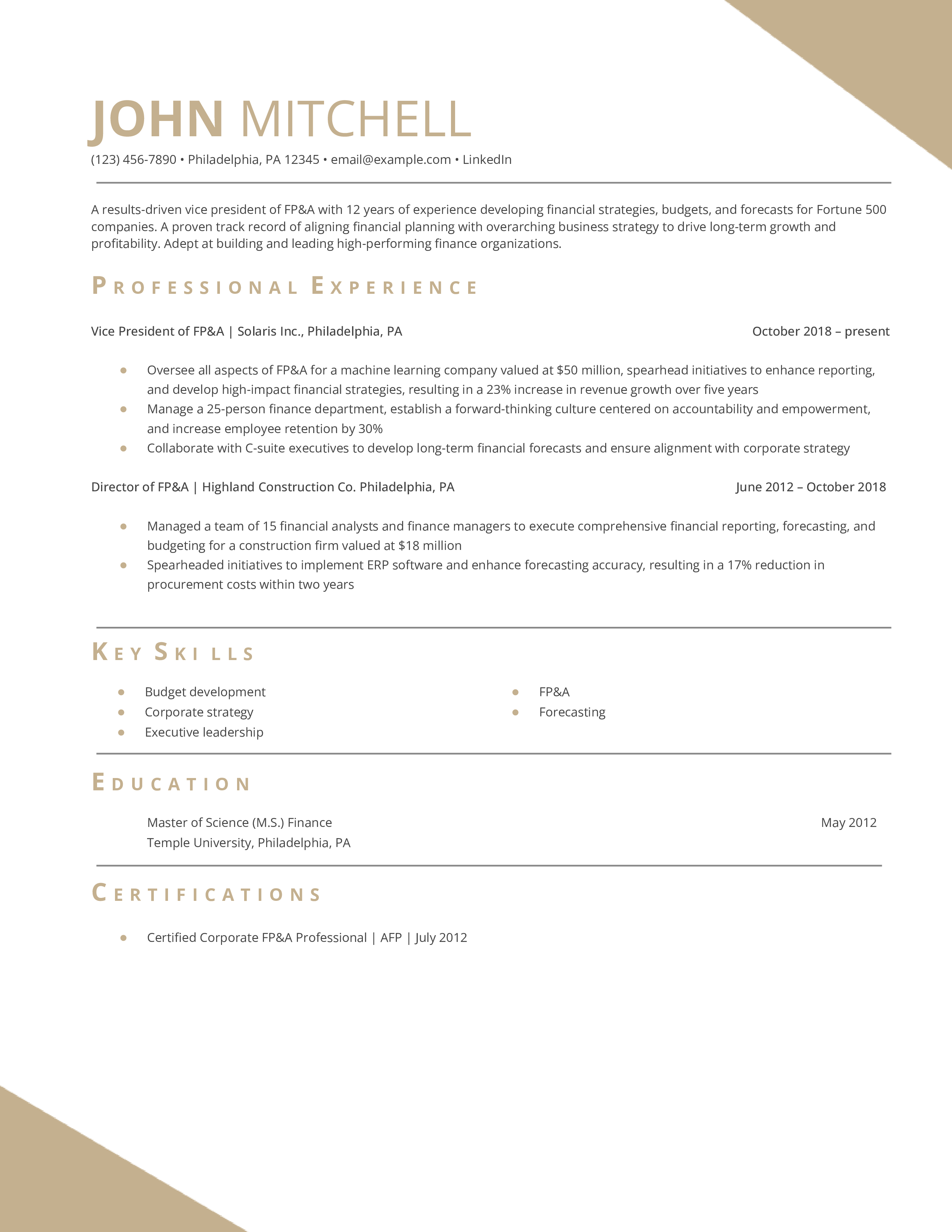 Vice President of Financial Planning and Analysis Resume Example