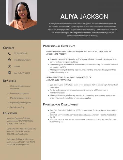 Custodian Janitor Resume Example
