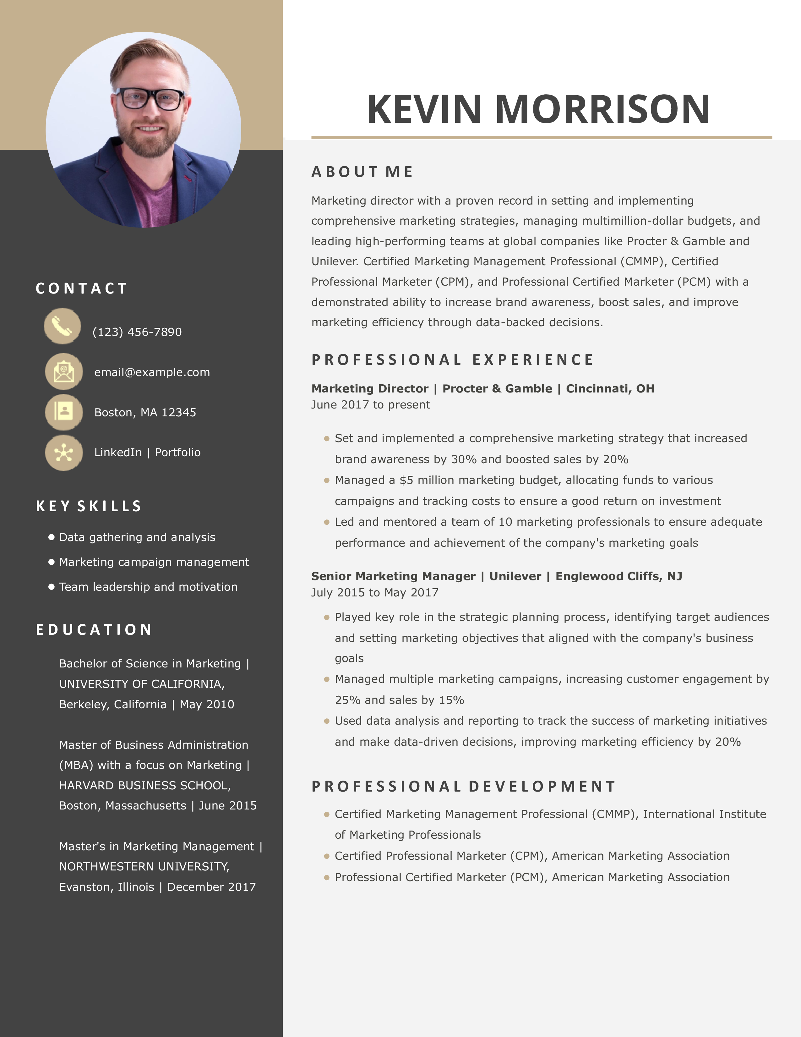 Marketing Director Resume Example