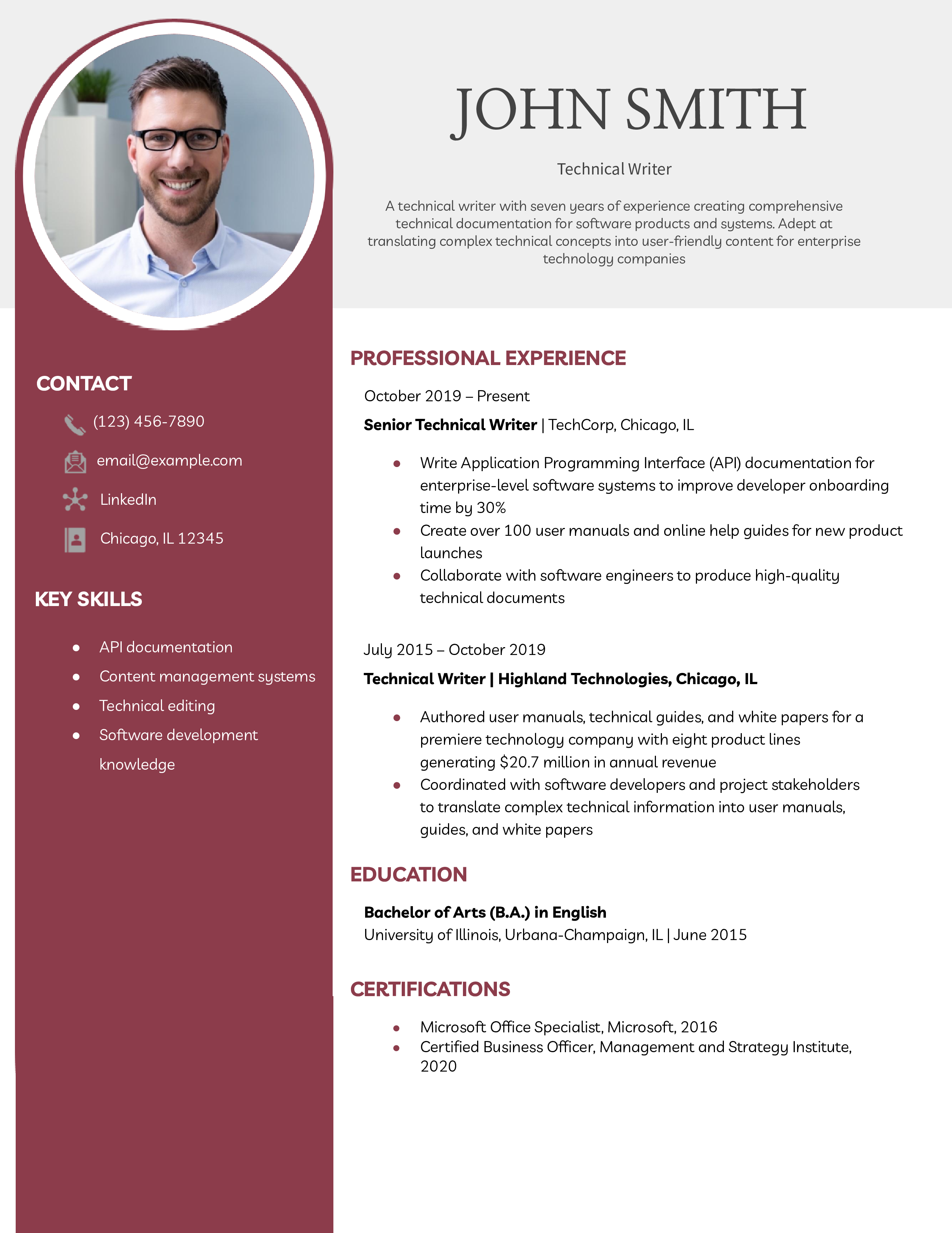 Technical Writer Resume Example