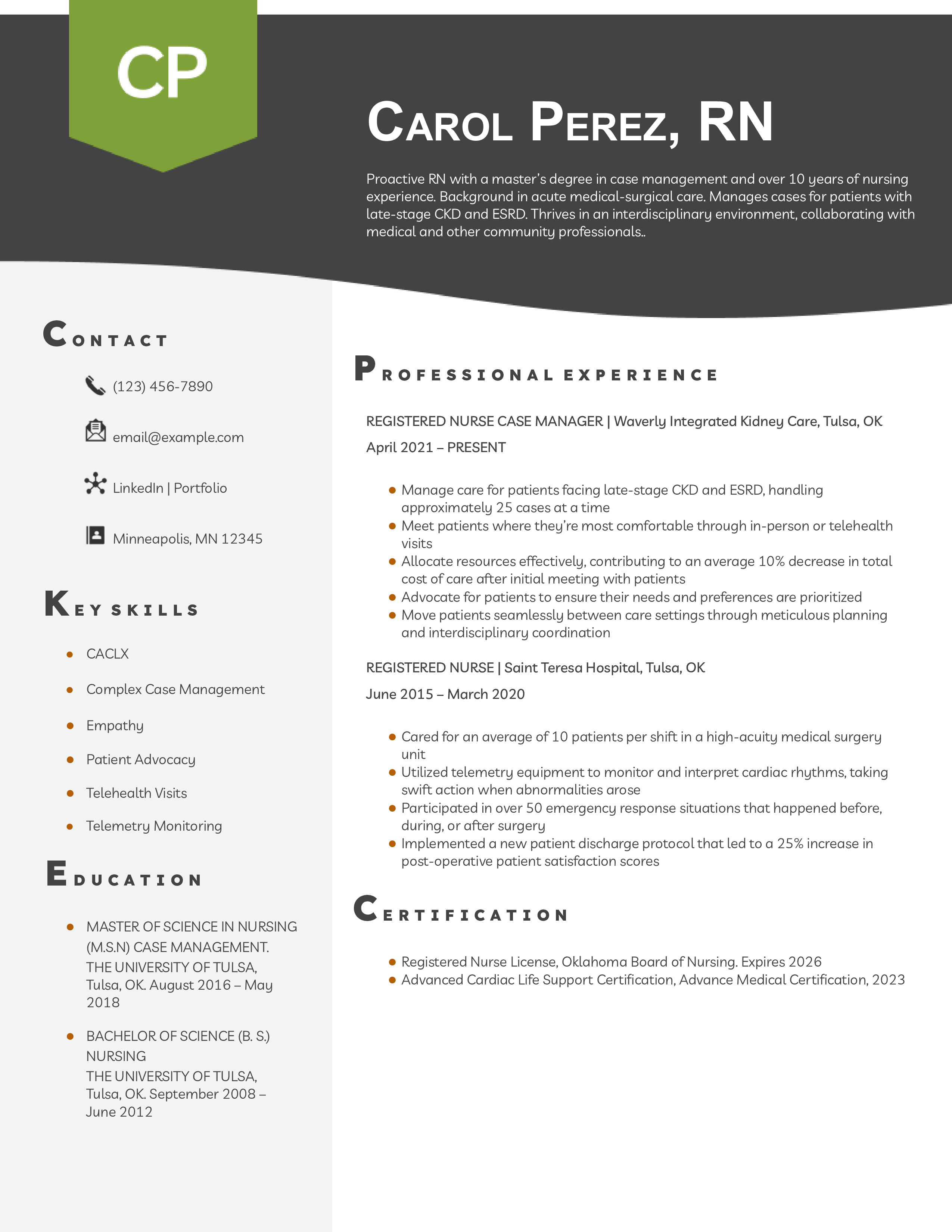 Senior Level Registered Nurse Resume Template Example 2 (file _ make a copy)