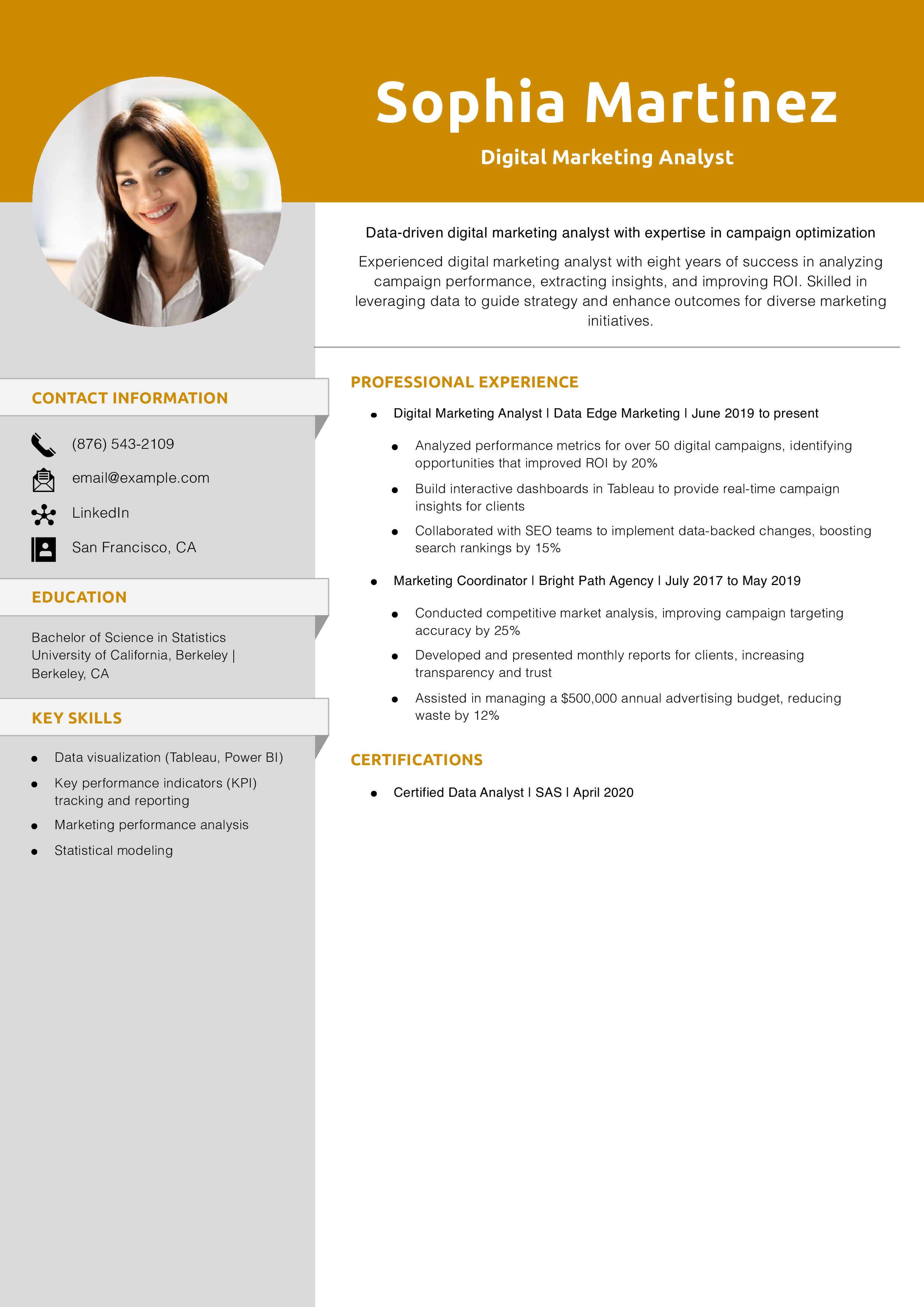 Digital Marketing Analyst Resume