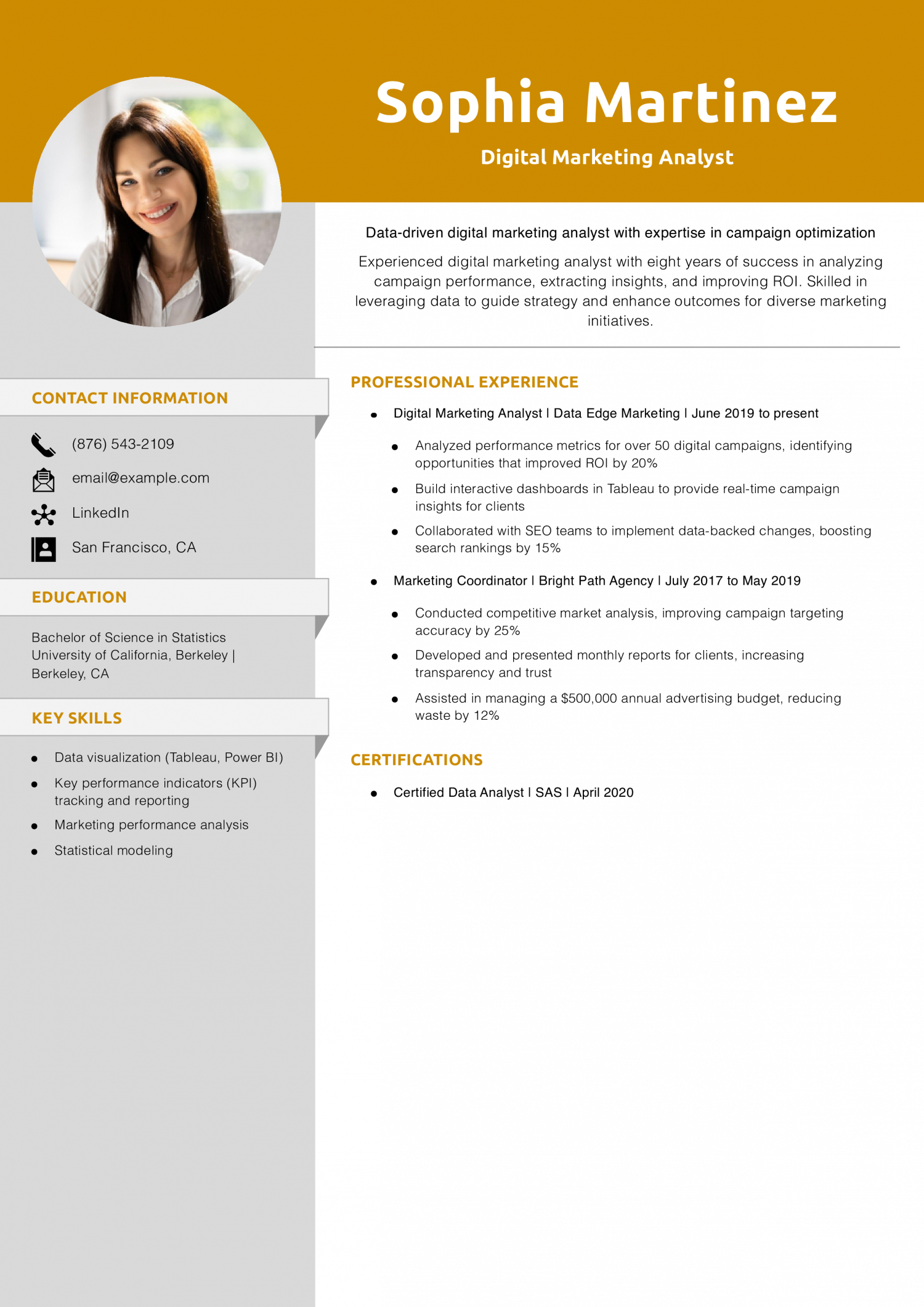 Digital Marketing Analyst Resume