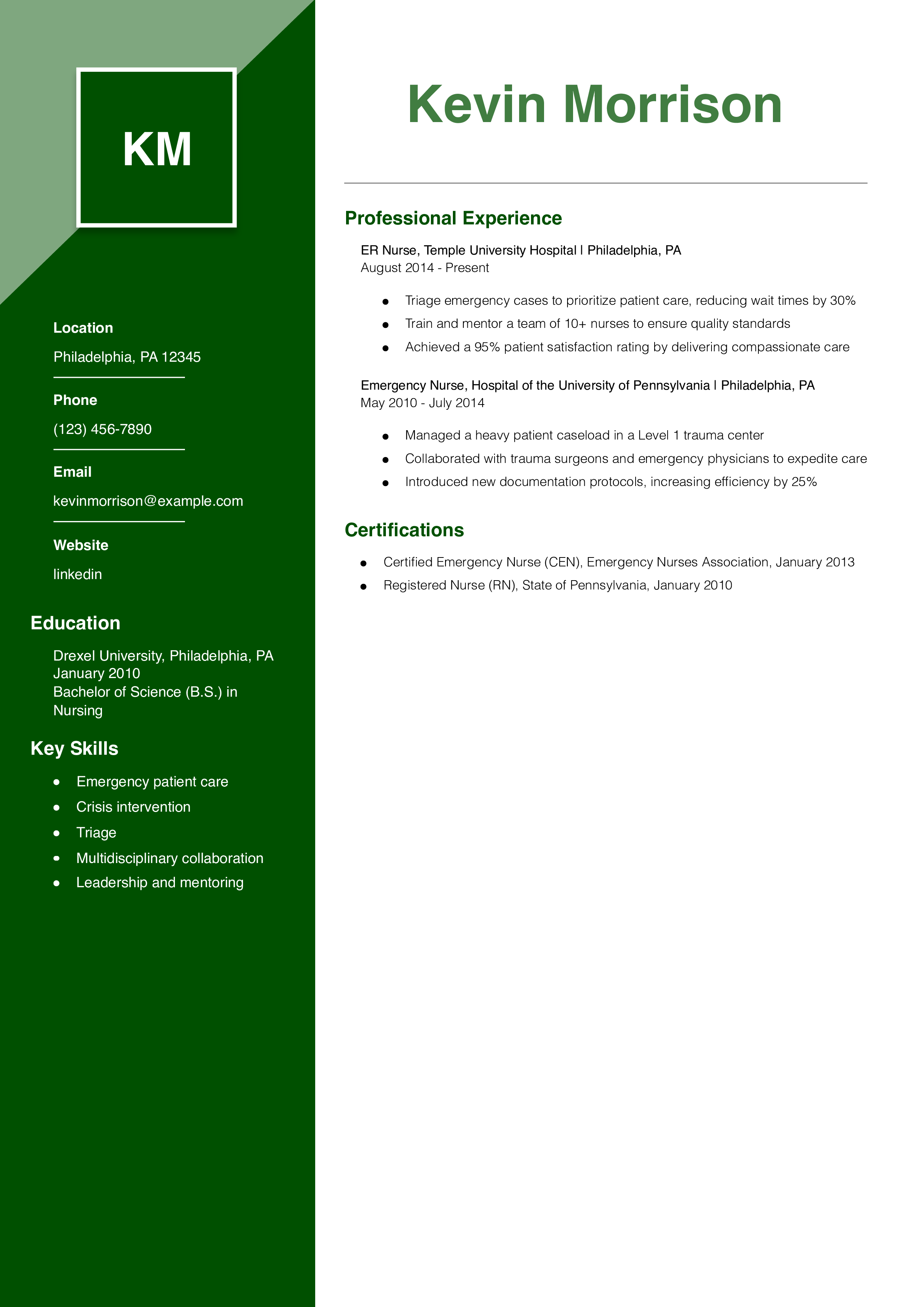 ER Nurse Resume Example