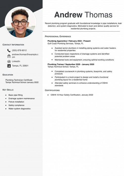 Junior Plumber Resume Example