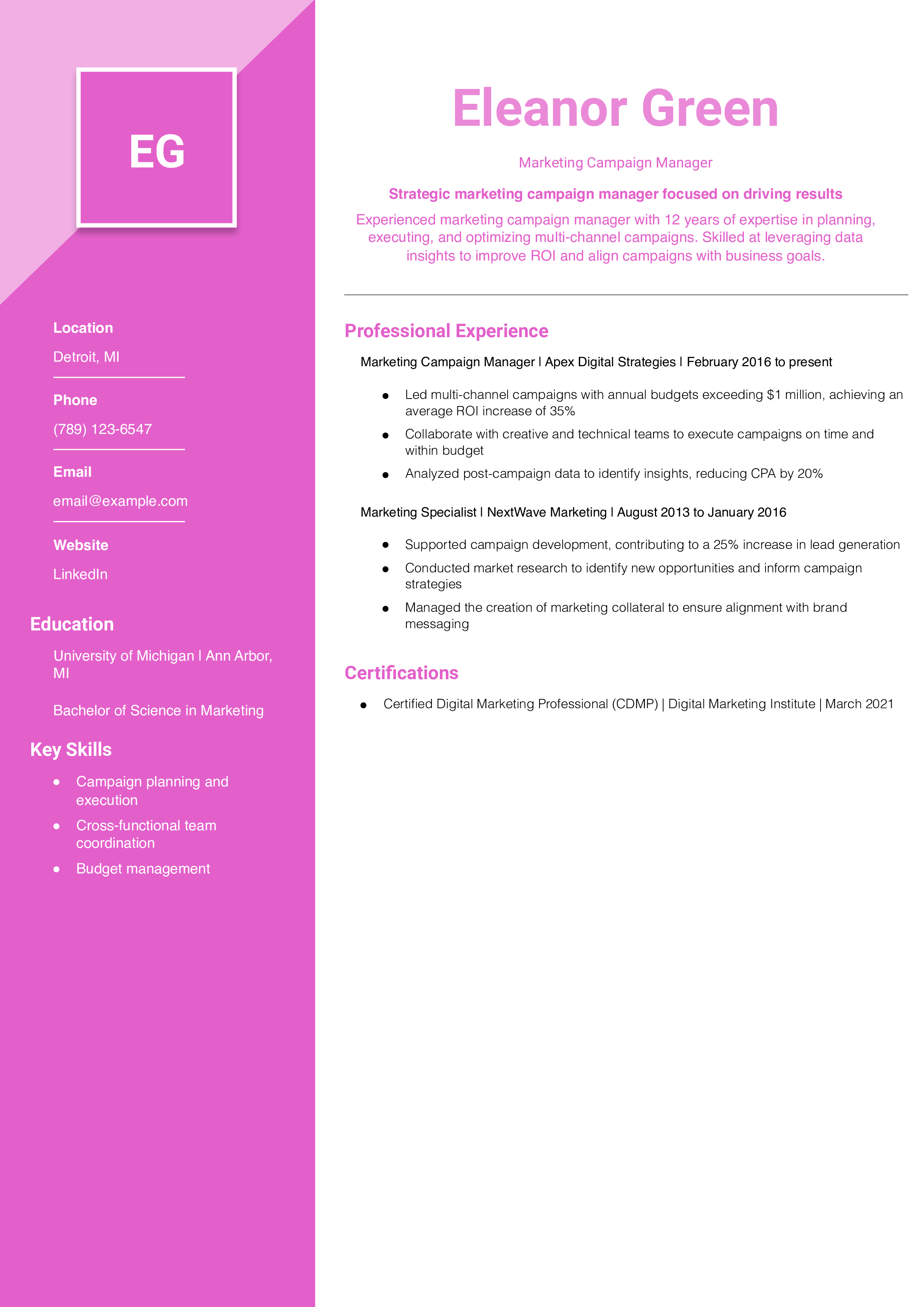 Marketing Campaign Manager Resume