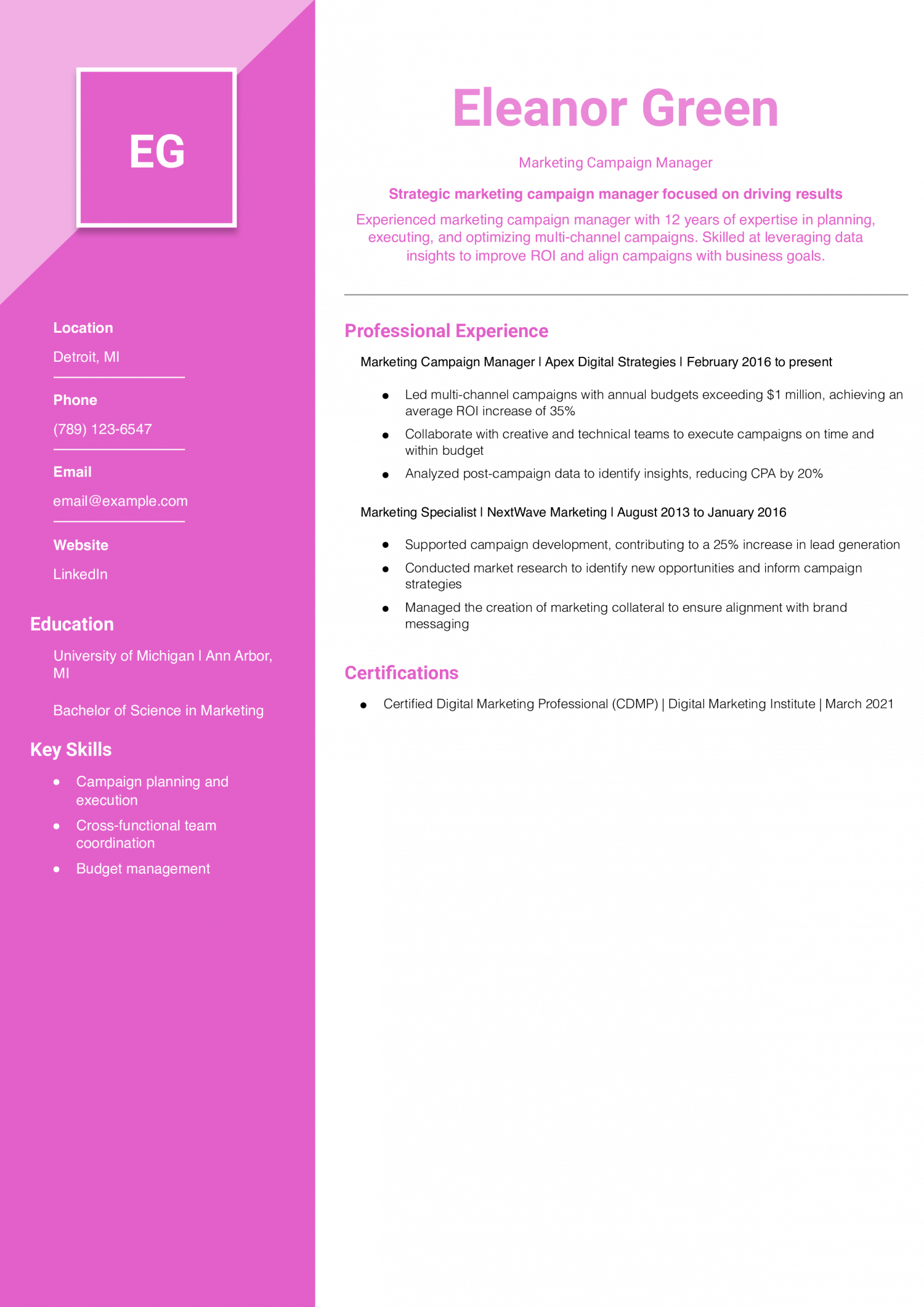 Marketing Campaign Manager Resume