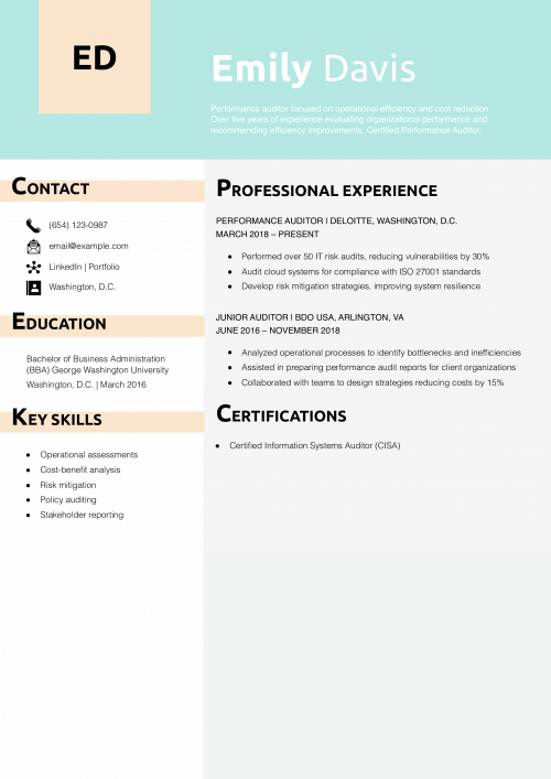 Performance Auditor Resume Example