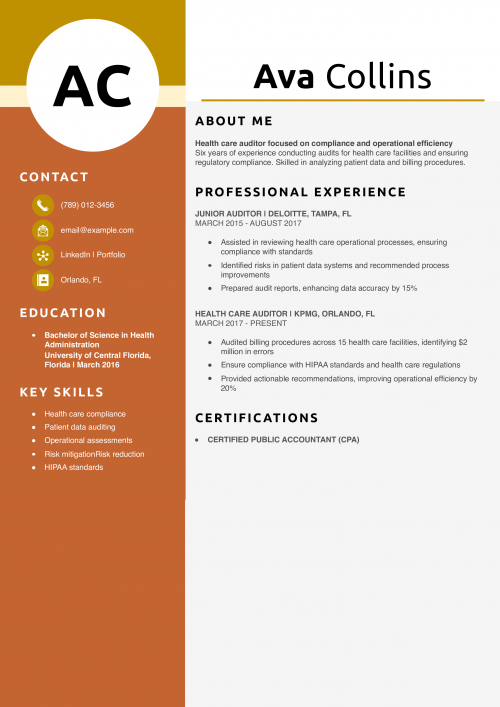 Health Care Auditor Resume Example