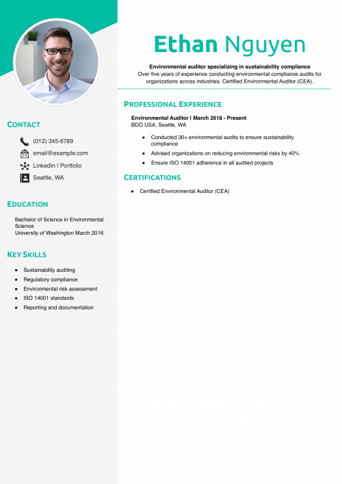 Environmental Auditor Resume Example