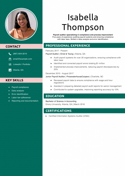 Payroll Auditor Resume Example