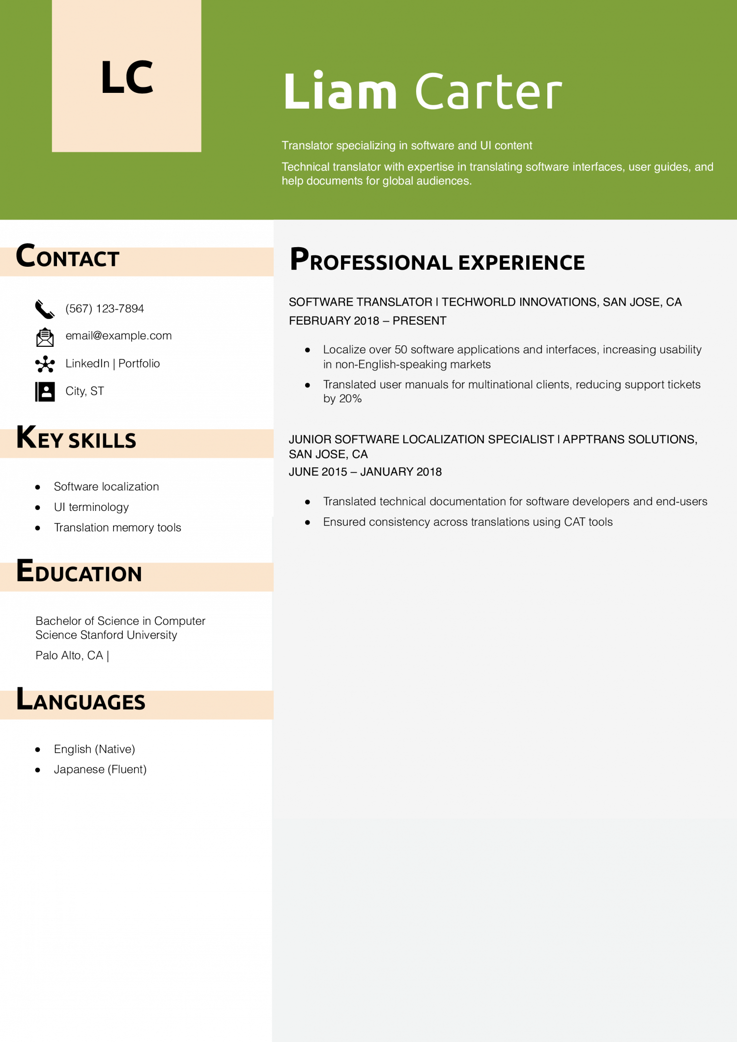 Software Translator Resume Example