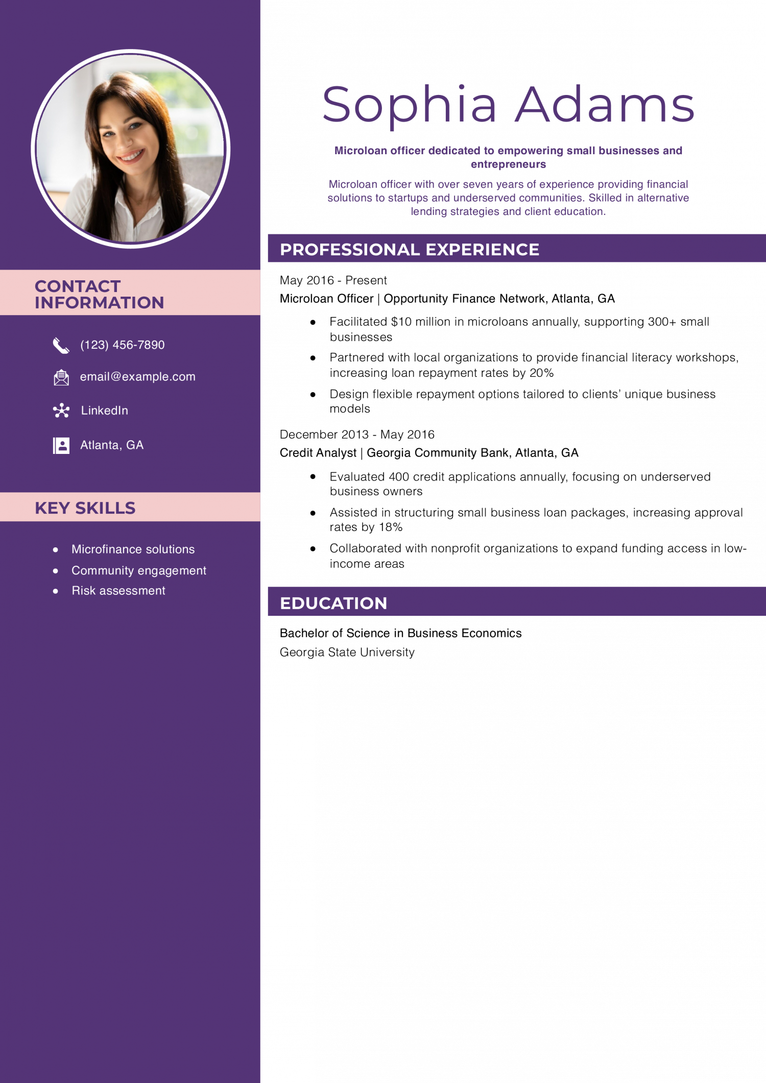 Microloan Officer Resume Example