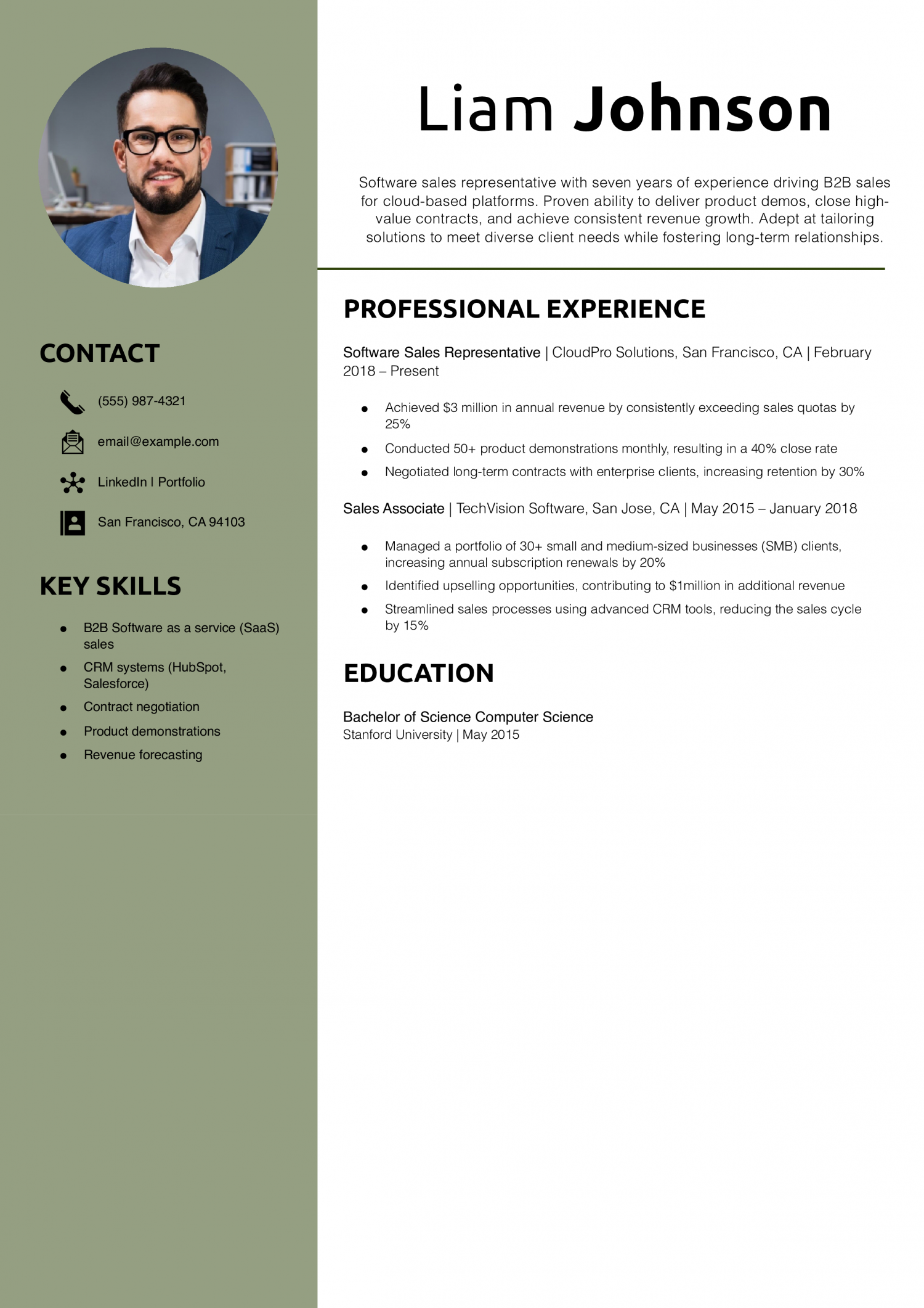 Software Sales Representative Resume Example