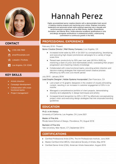 Senior level Artist