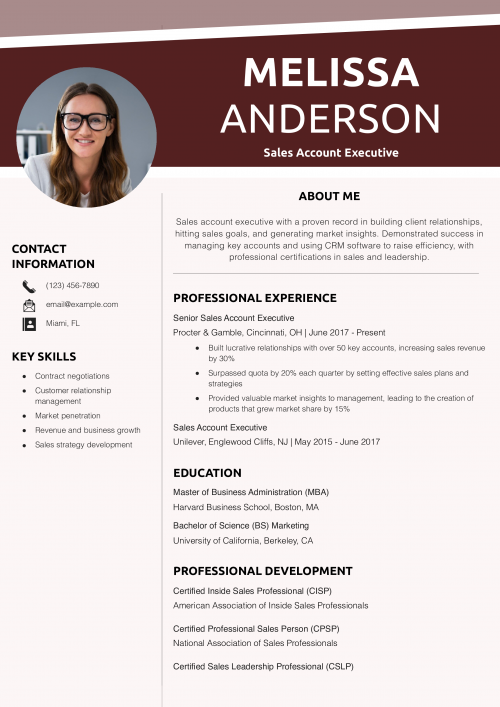 Sales Account Executive Resume Example
