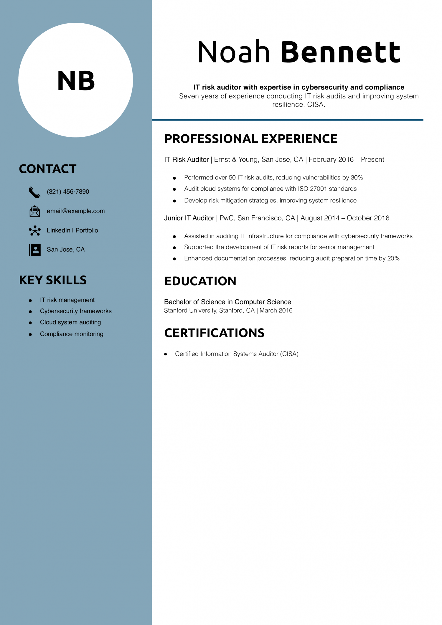 IT Risk Auditor Resume Example